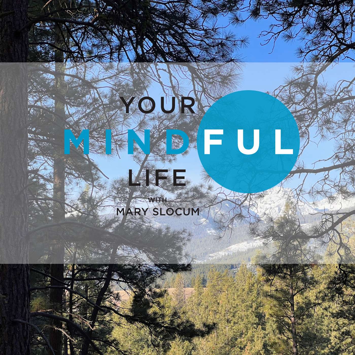 Your Mindful Life