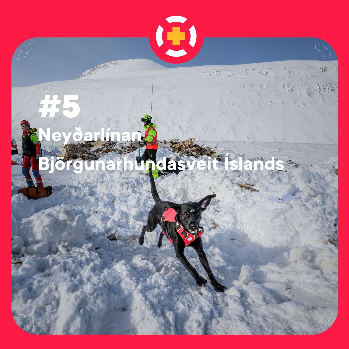#5 - Neyðarlínan & Björgunarhundasveit Íslands