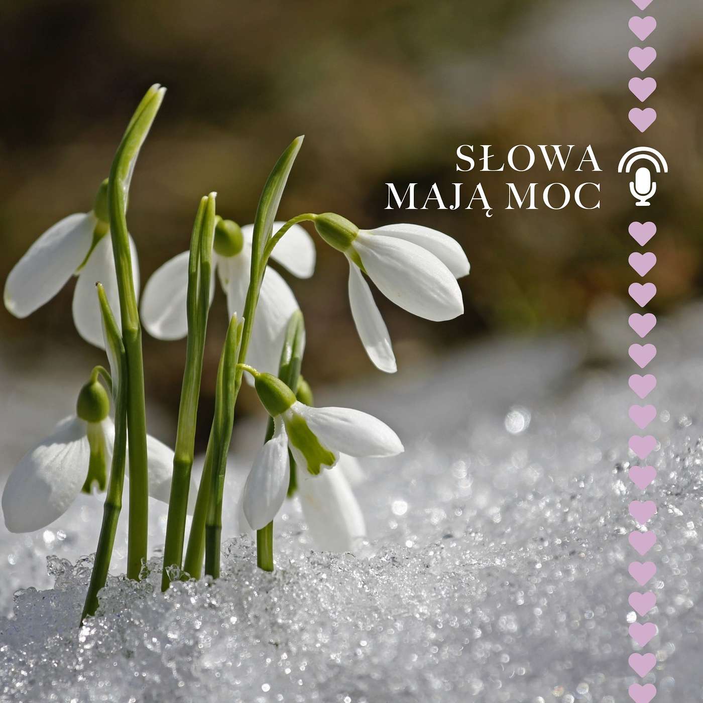 Słowa Mają Moc