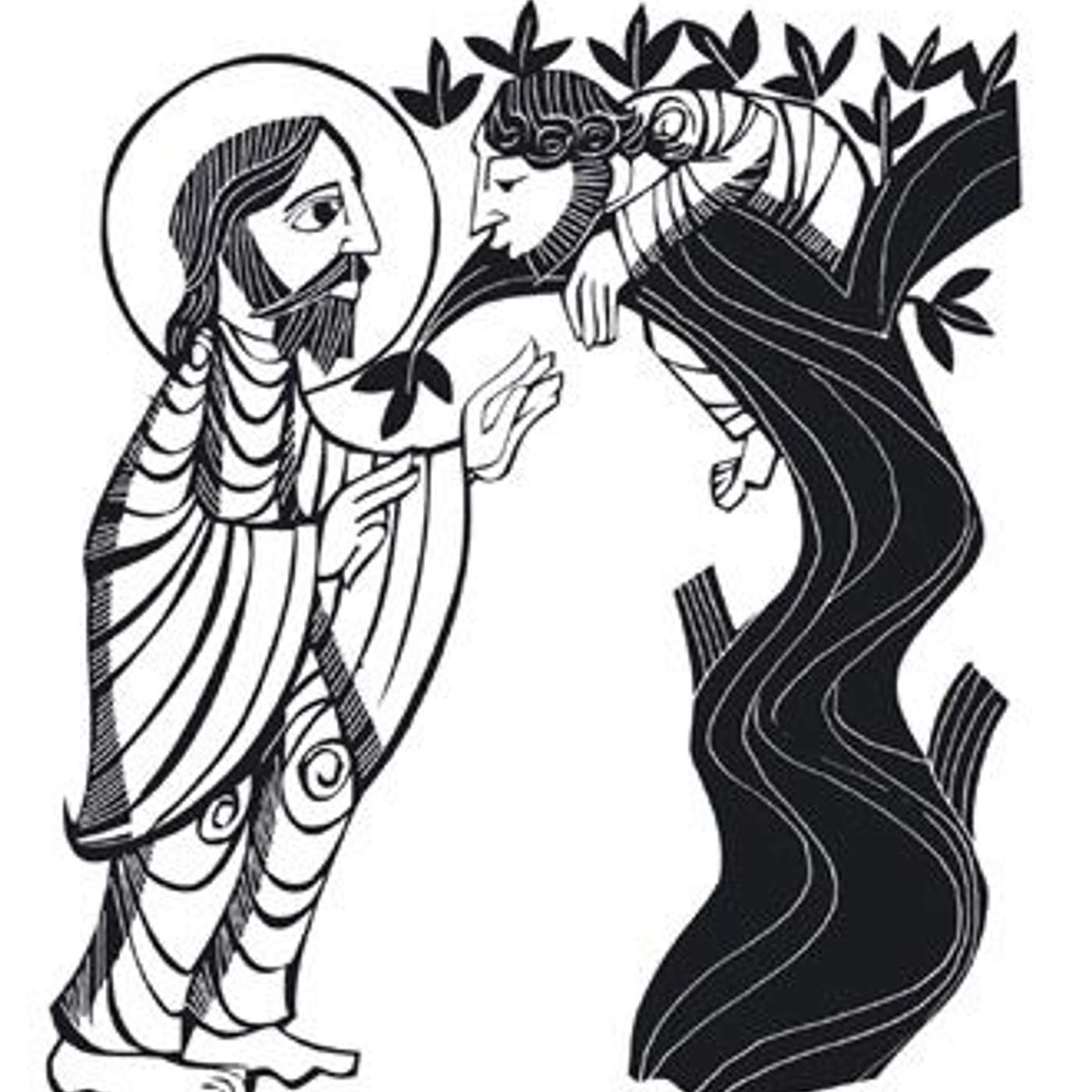 Homily for Sunday Ordinary 31 C