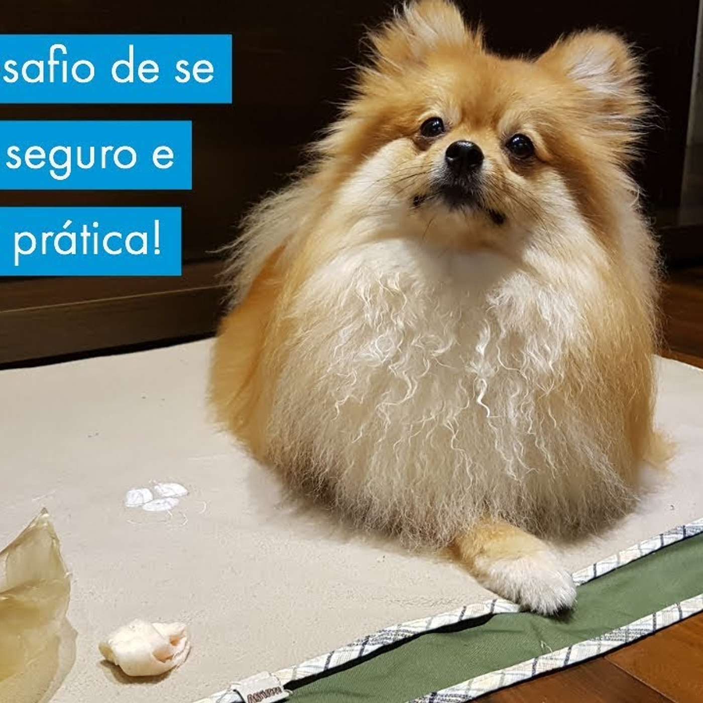 Chico: o desafio de se tornar mais seguro e relaxar. Na prática! episode artwork