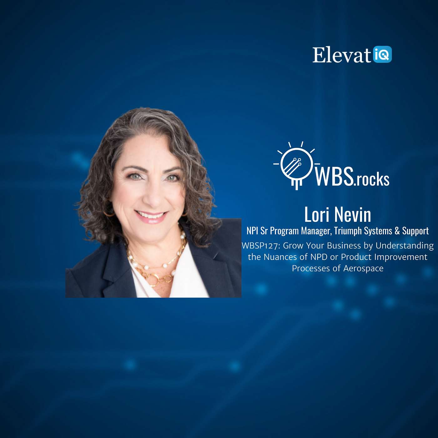 WBSP127: Grow Your Business by Understanding the Nuances of NPD or Product Improvement Processes of Aerospace w/ Lori Nevin