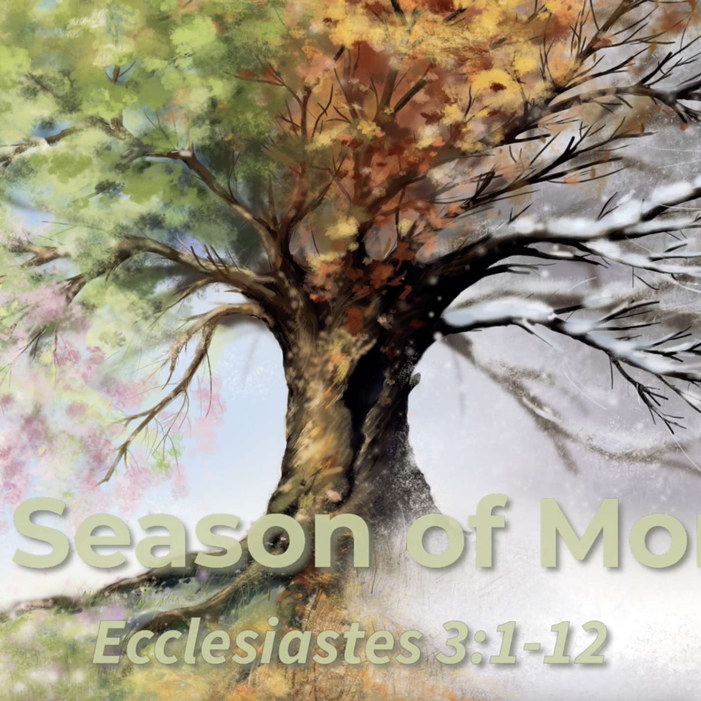 Ecclesiastes 3:1-12 - A Season of More