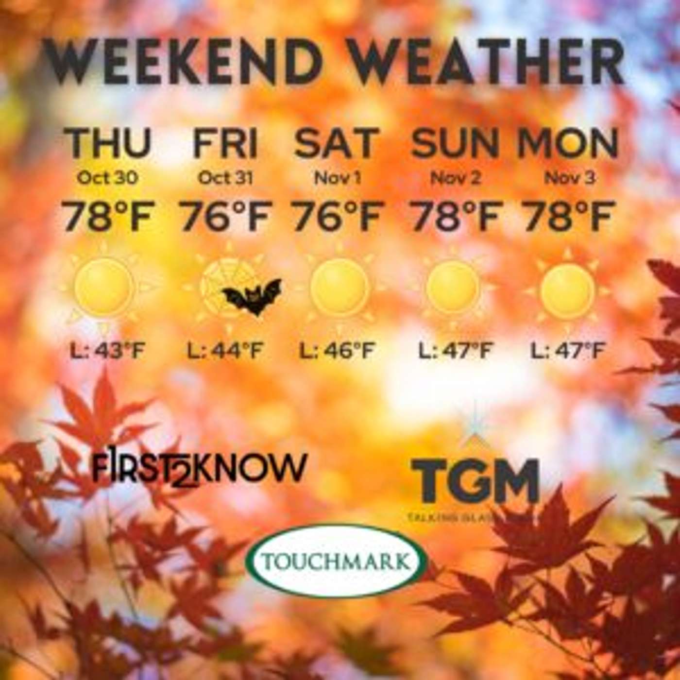 Top News Stories of the Day - October 29, 2025