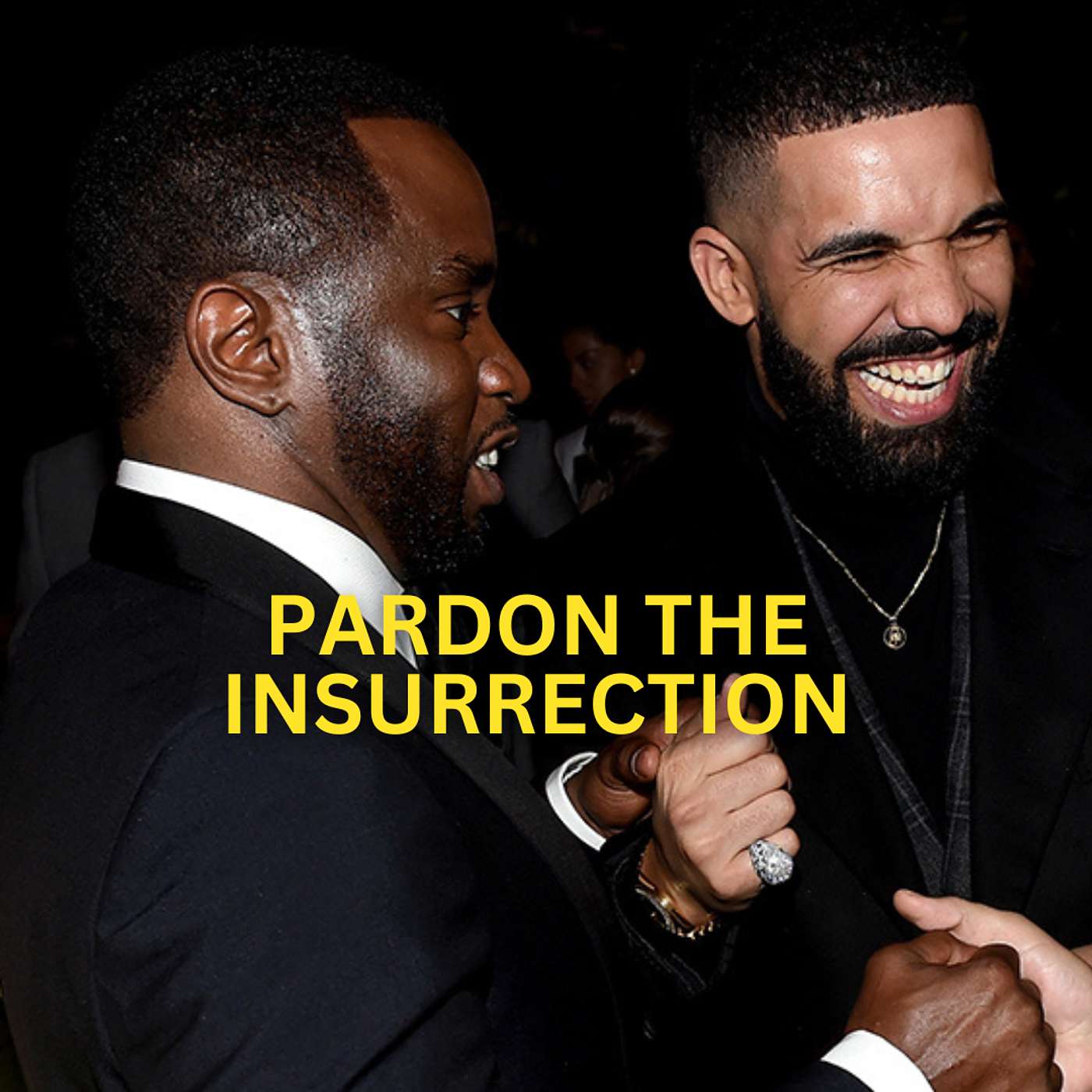 Pardon The Insurrection