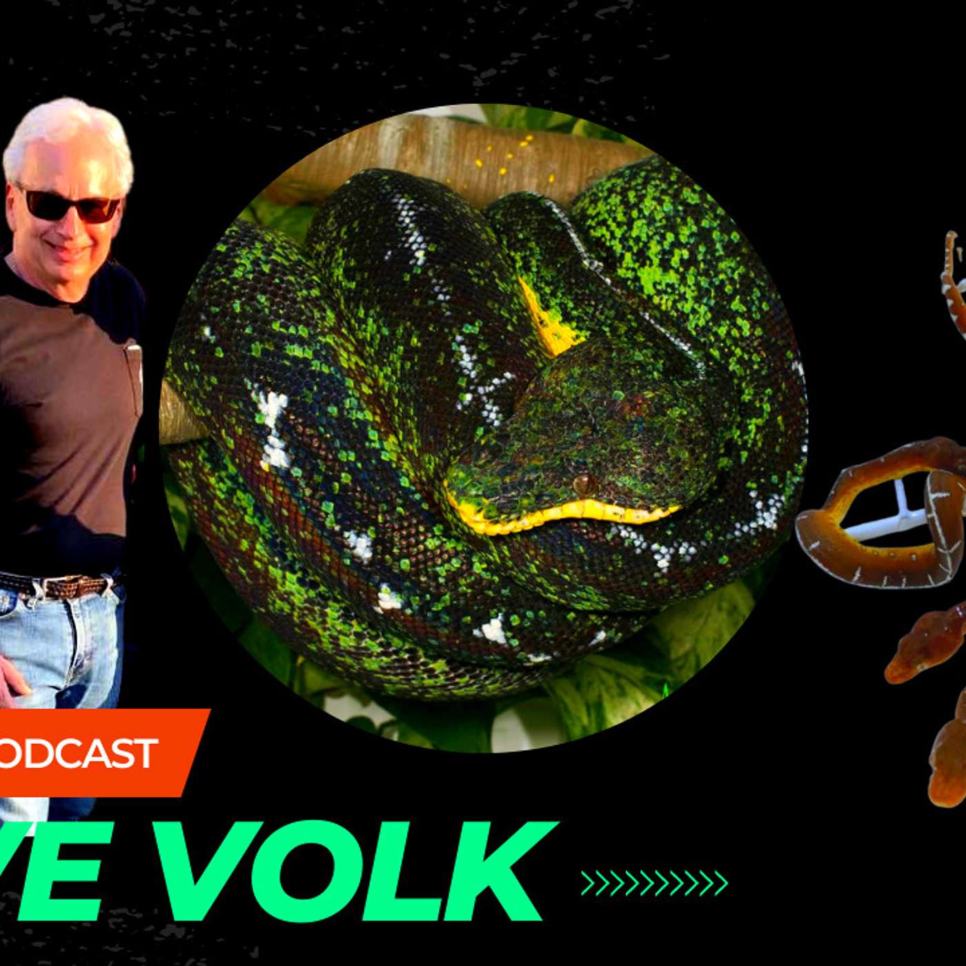 What is the history behind Steve Volk's Amazon Basin Emerald Tree Boa Projects? | Trap Talk Podcast