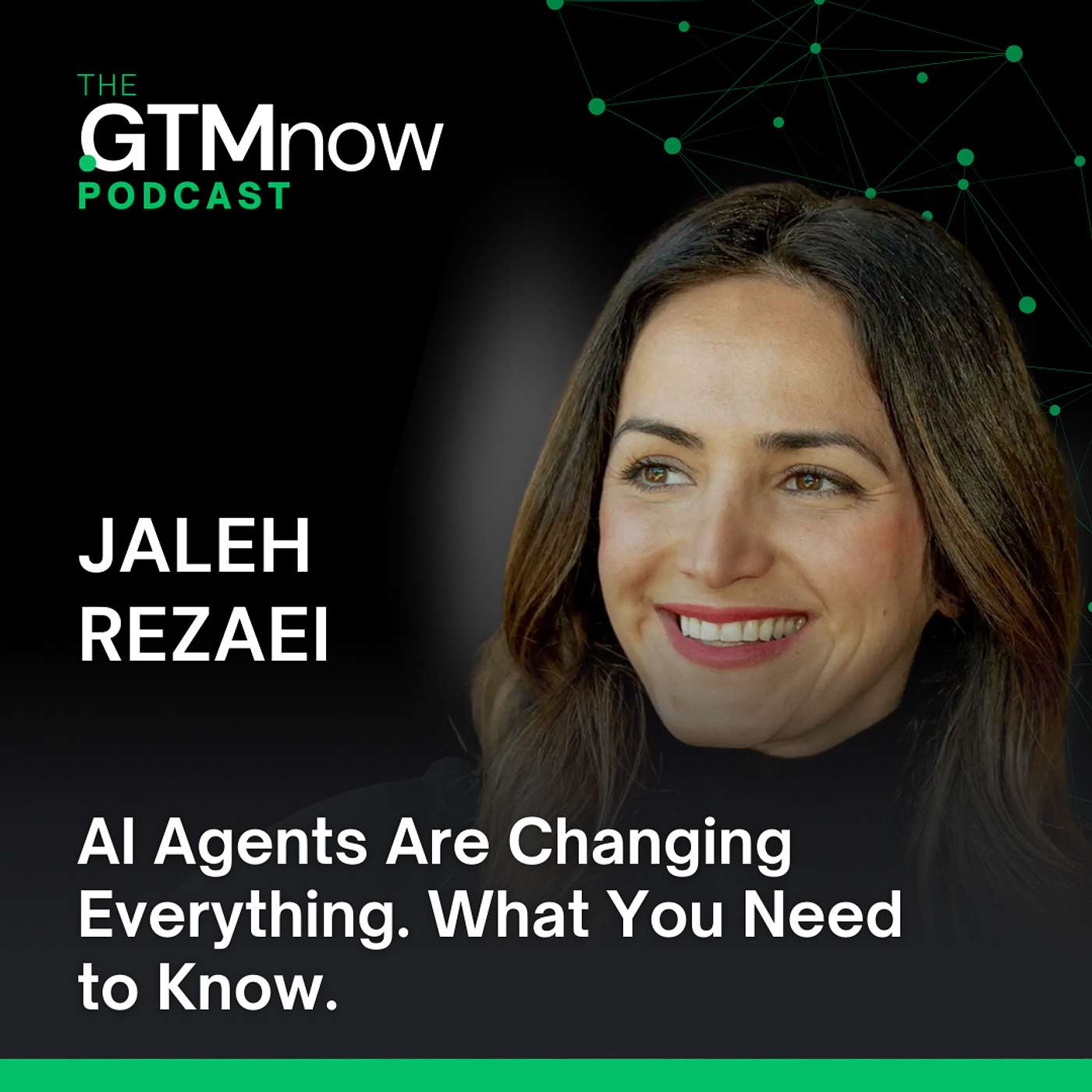 GTM 138: The AI Advantage, Solving Sales & Marketing Alignment for Better GTM Execution with Jaleh Rezaei