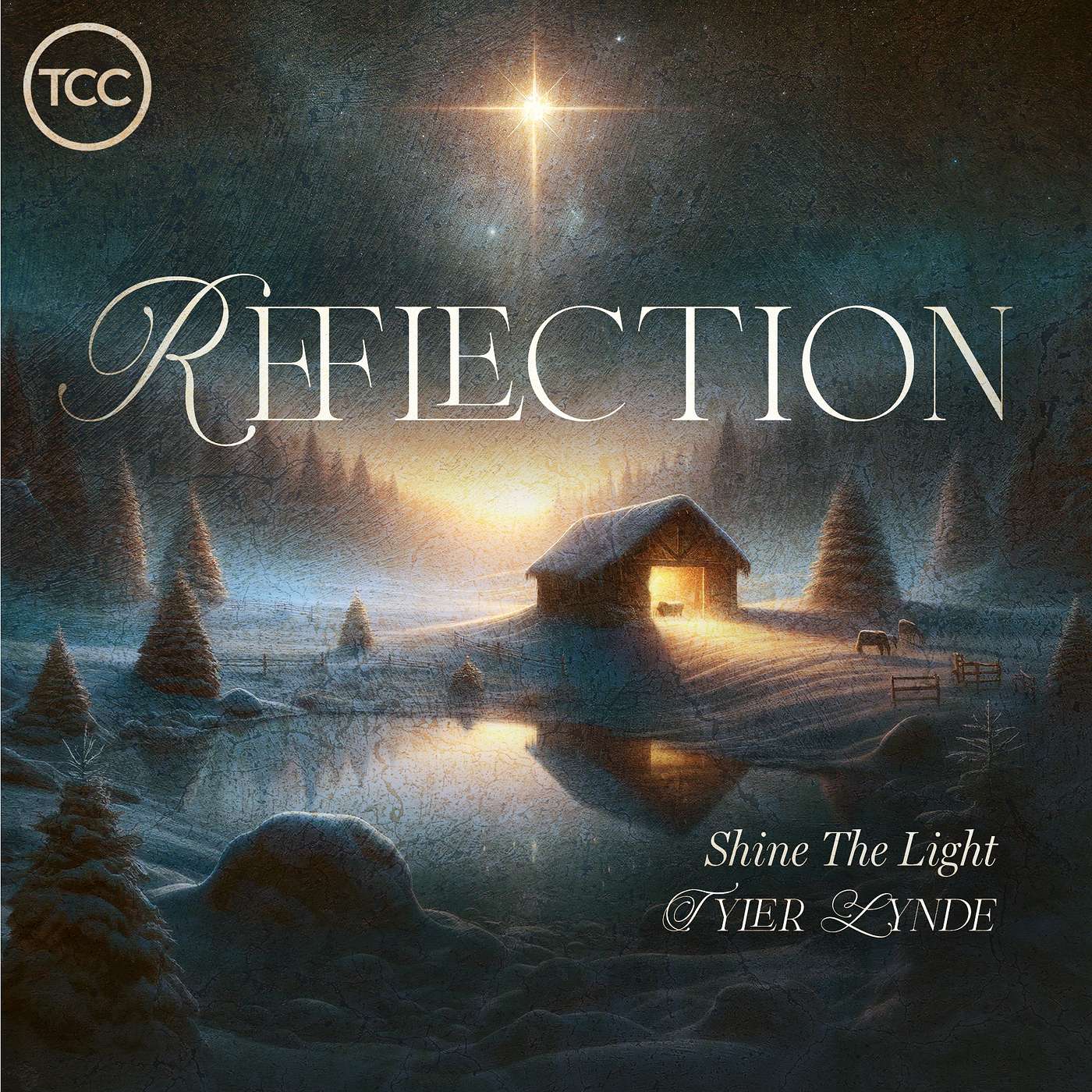 Reflection - Shine The Light