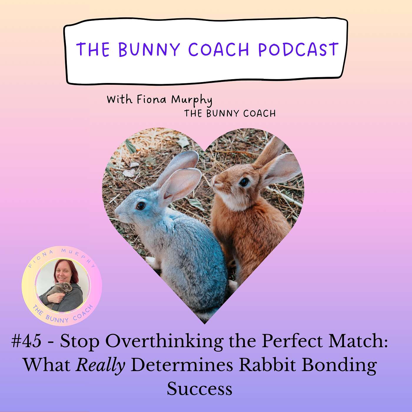 #45 - Stop Overthinking the Perfect Match: What Really Determines Rabbit Bonding Success episode artwork