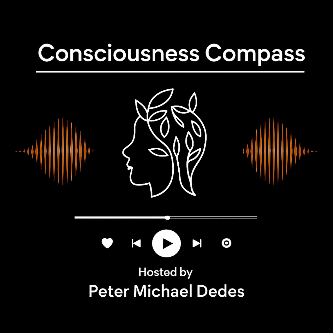 Consciousness Compass