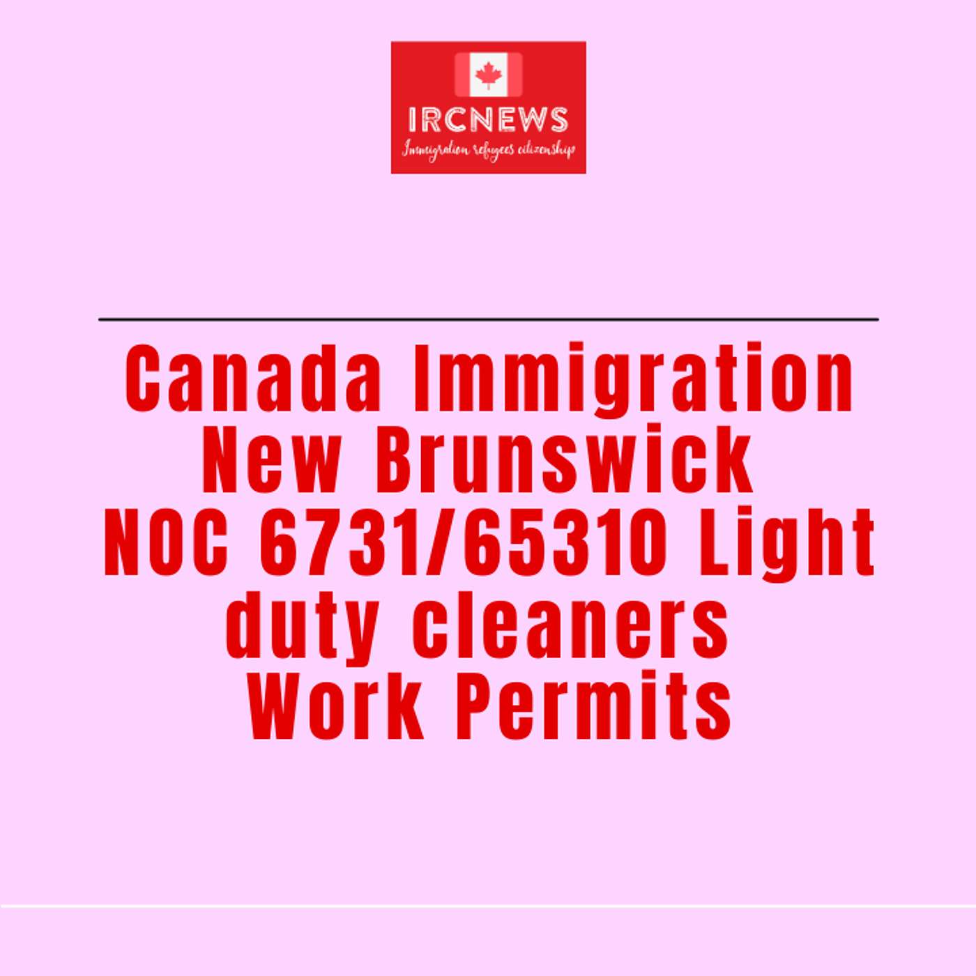 Canada Immigration New Brunswick NOC 6731/65310 Light duty cleaners Work Permits episode artwork