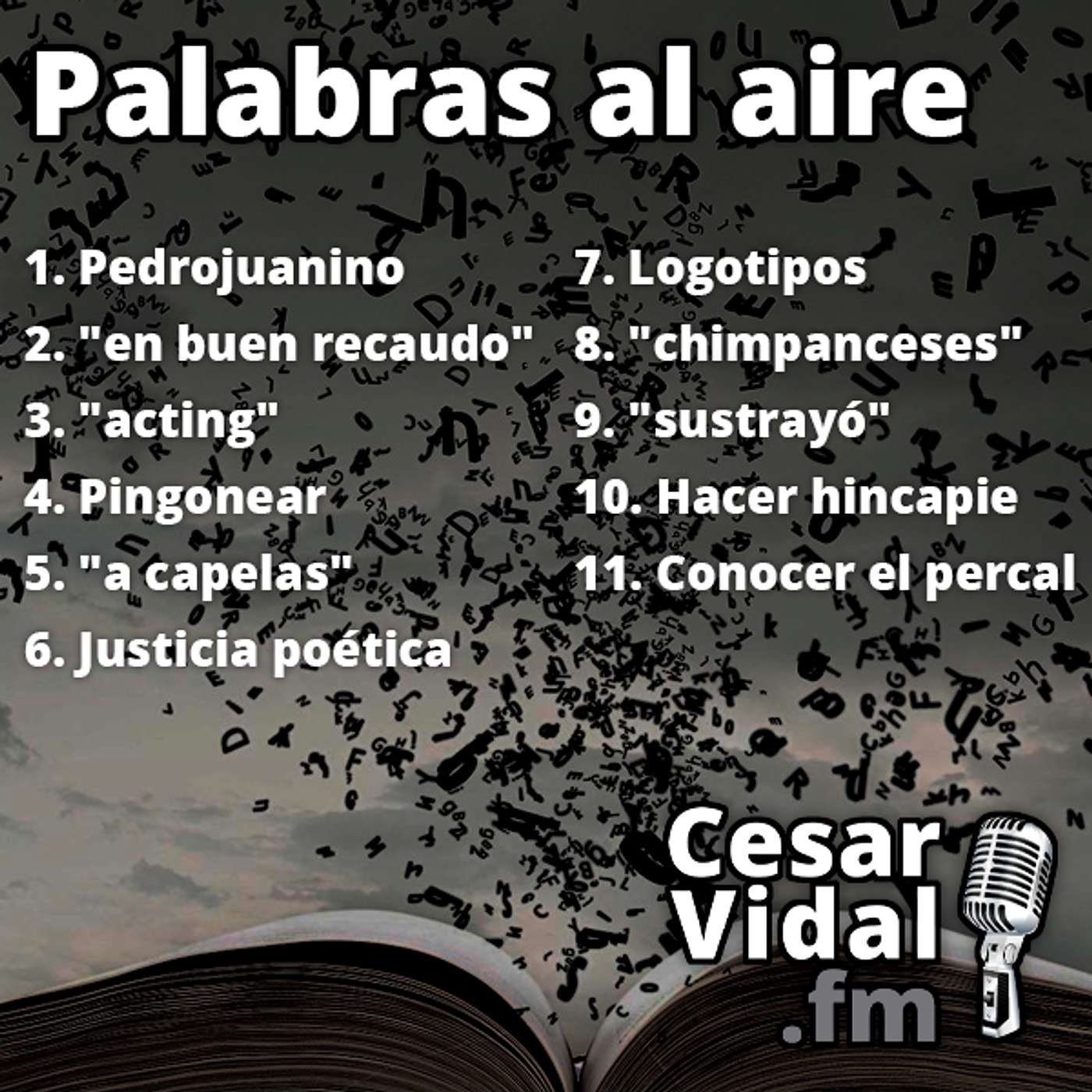 Palabras al aire - 02/12/24