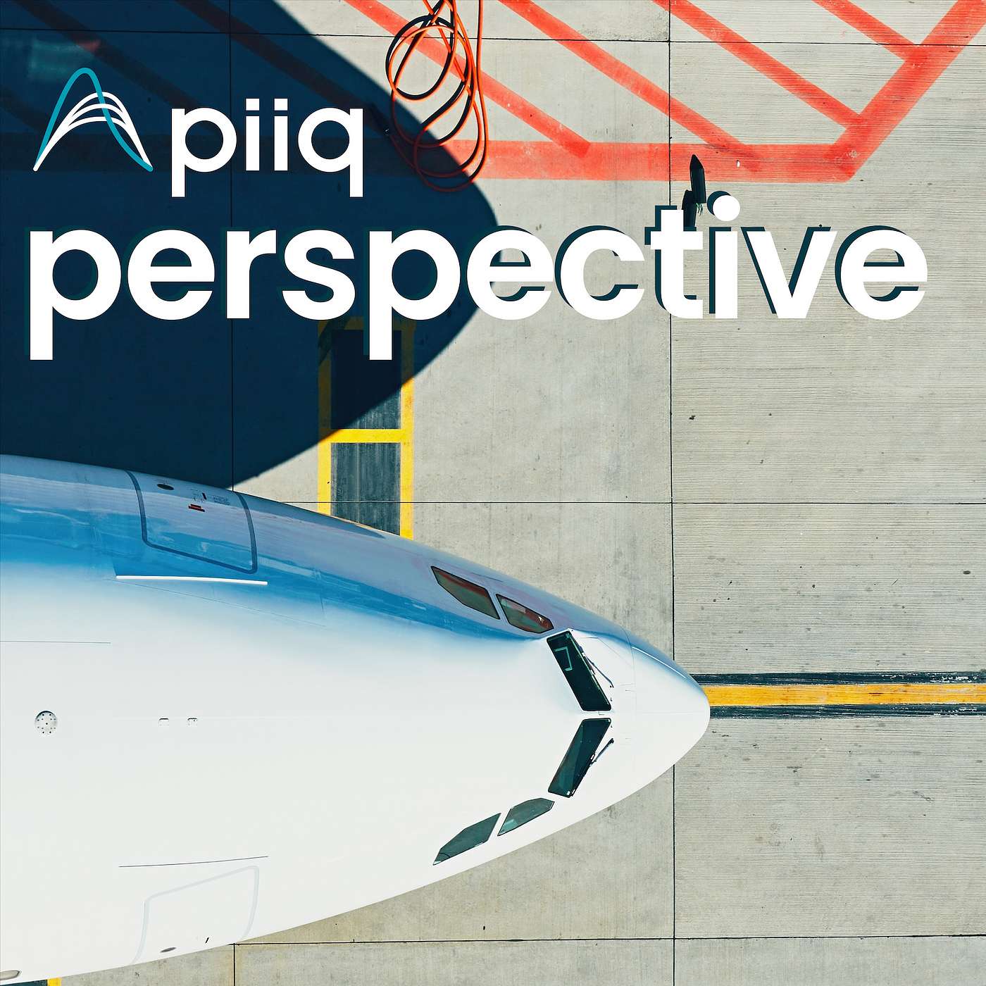 Piiq Perspective
