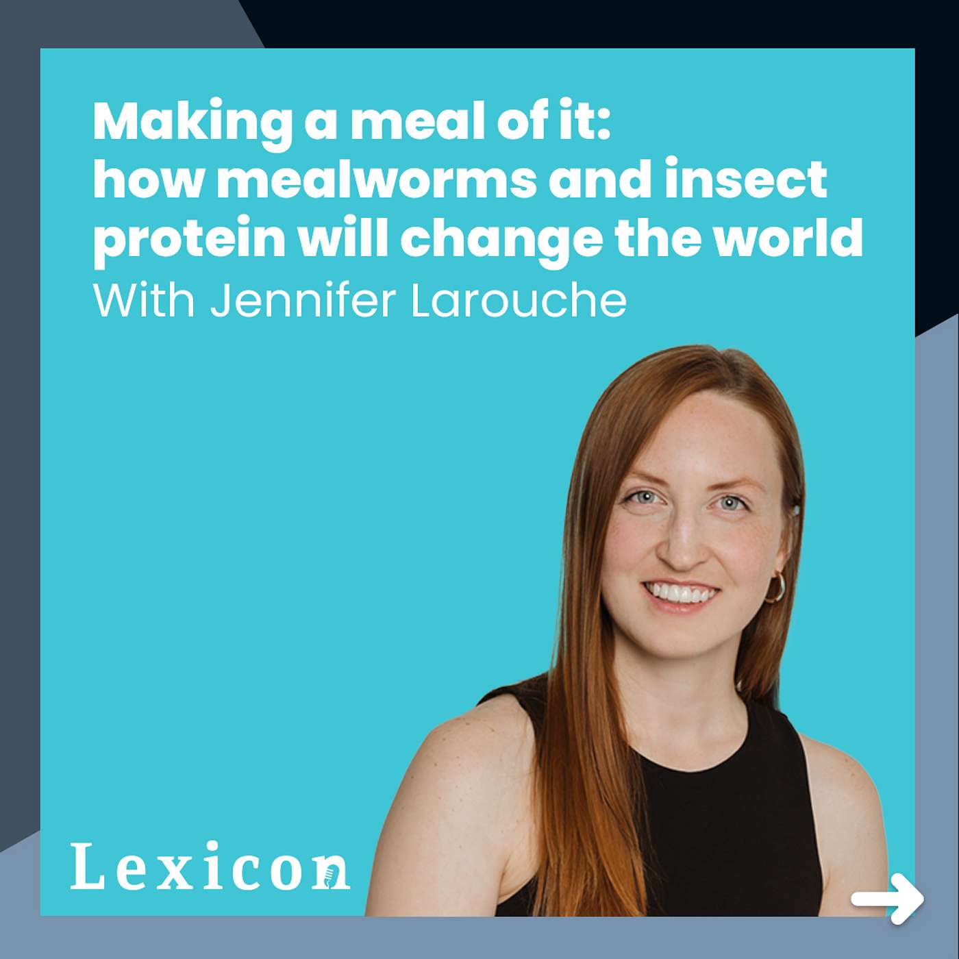 cover of episode Making a meal of it: how mealworms and insect protein will change the world