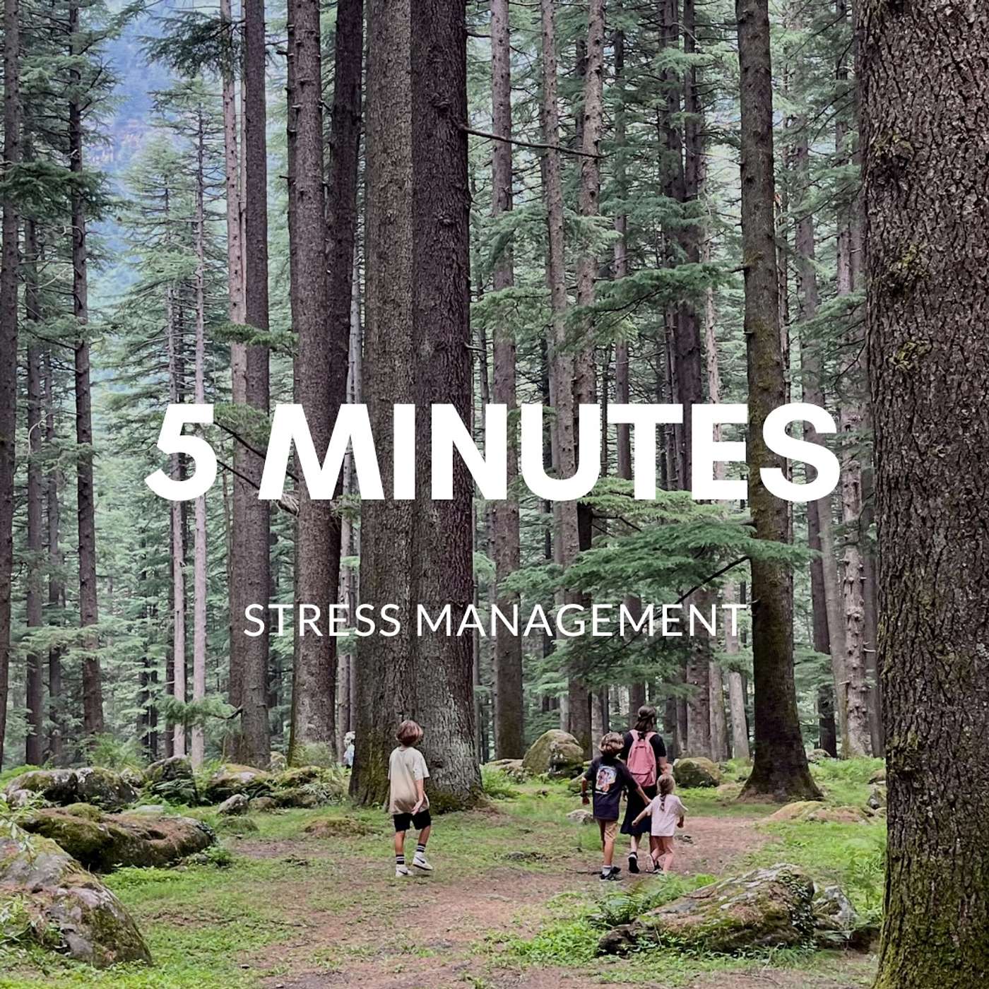 חמש דקות להורדת סטרס