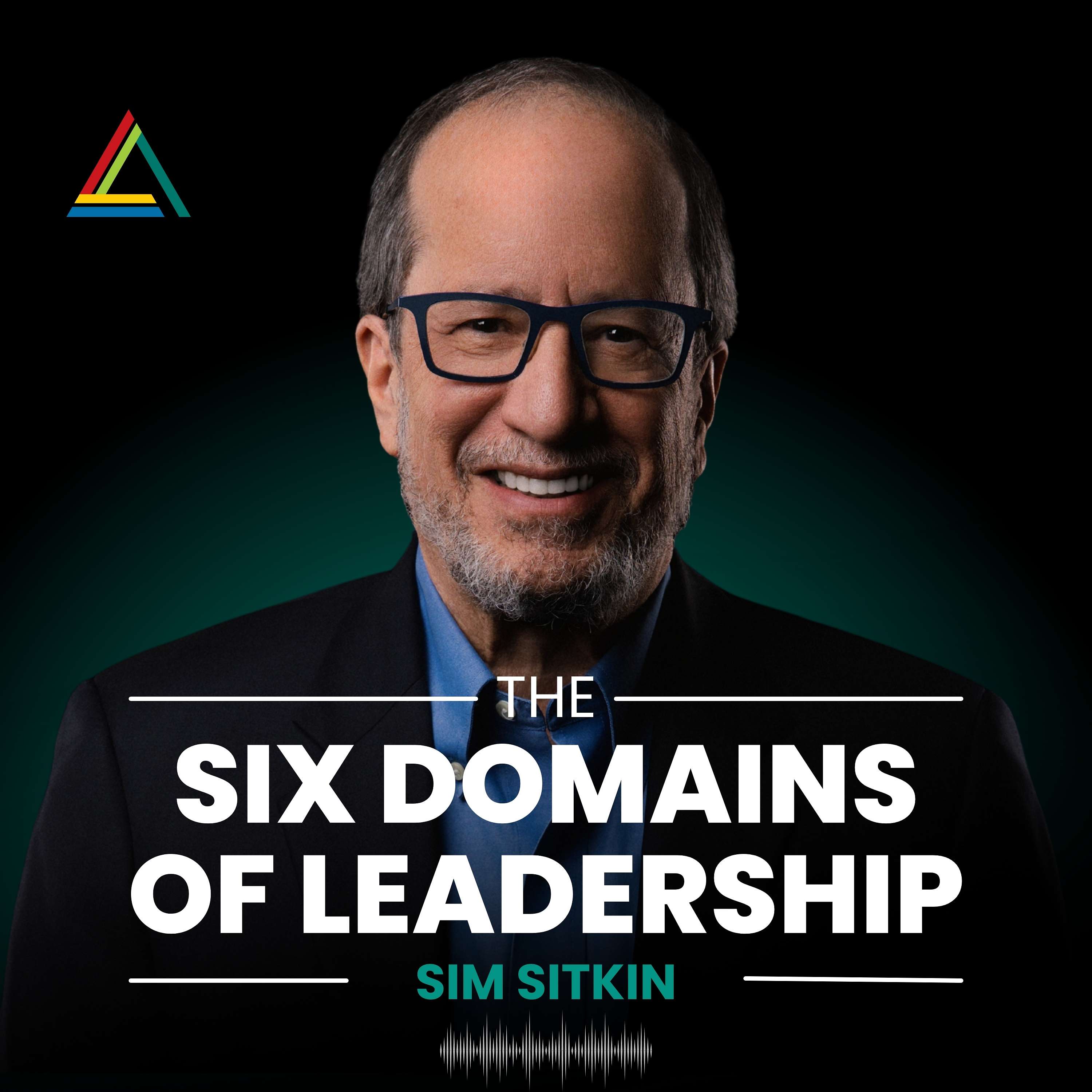 The Six Domains of Leadership Podcast