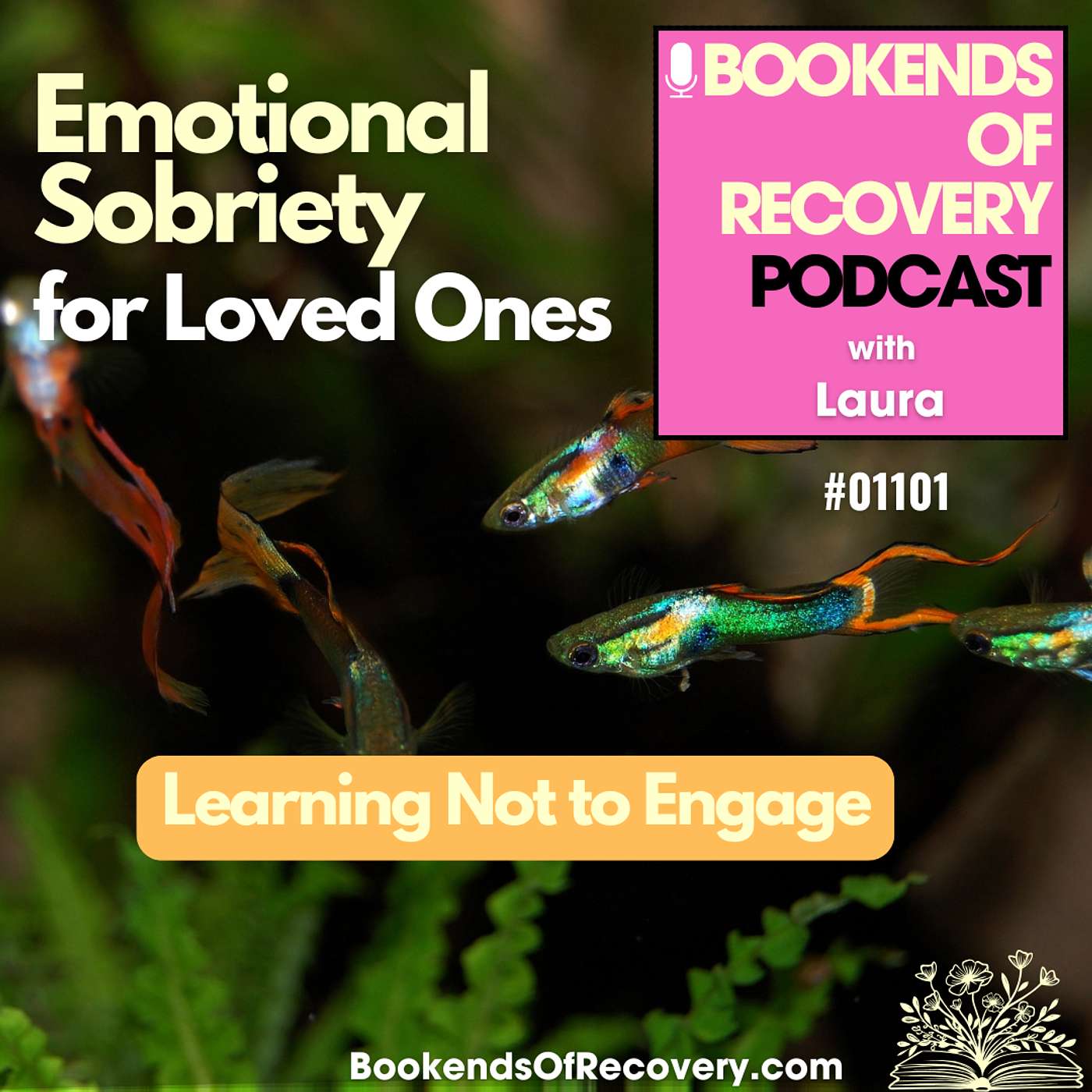 Emotional Sobriety for Loved Ones: Learning Not to Engage episode artwork