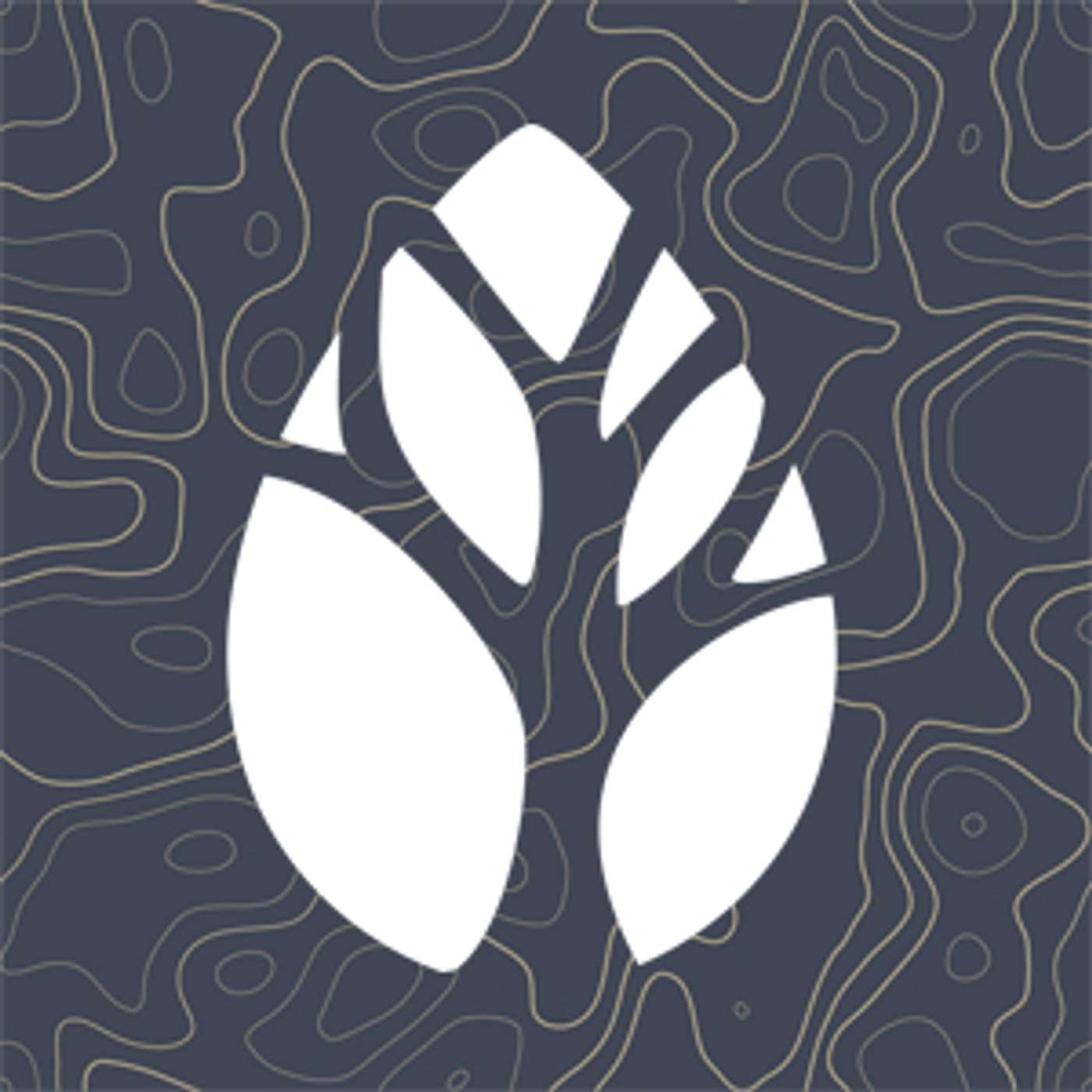 Elm City Church Podcast