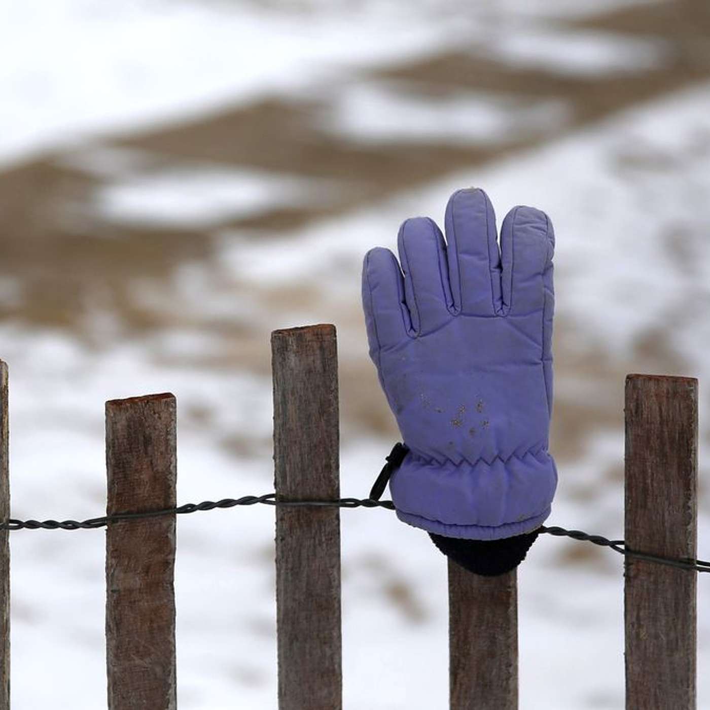 Episode 525 - Amazing Chesed With Just One Glove
