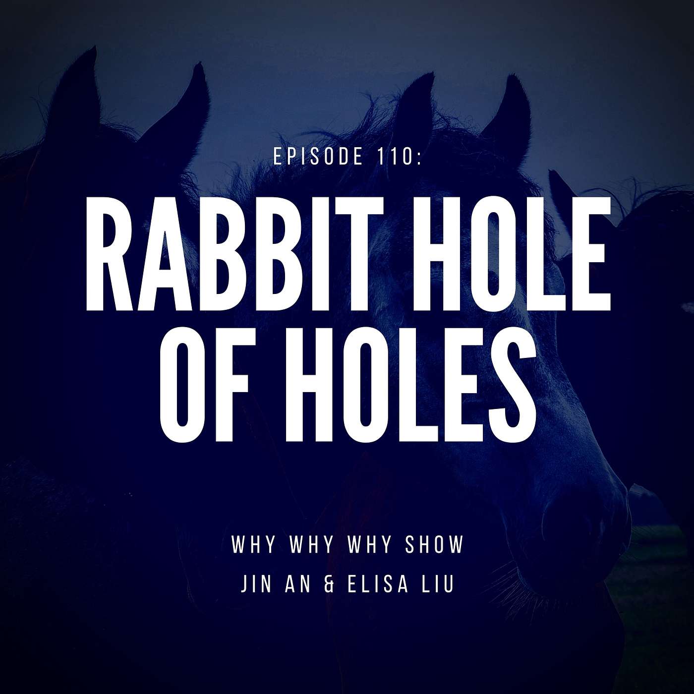 110: Rabbit Hole of Holes