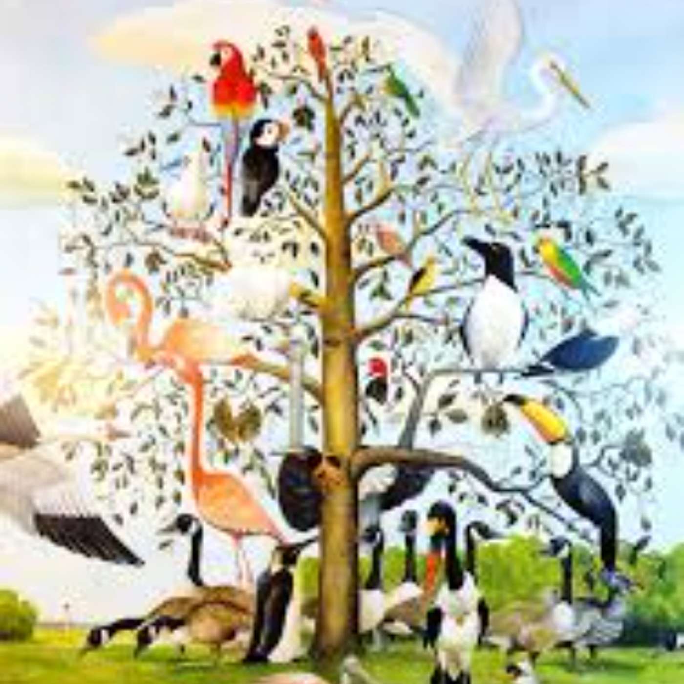 2nd Sunday After Pentecost 2026 episode artwork