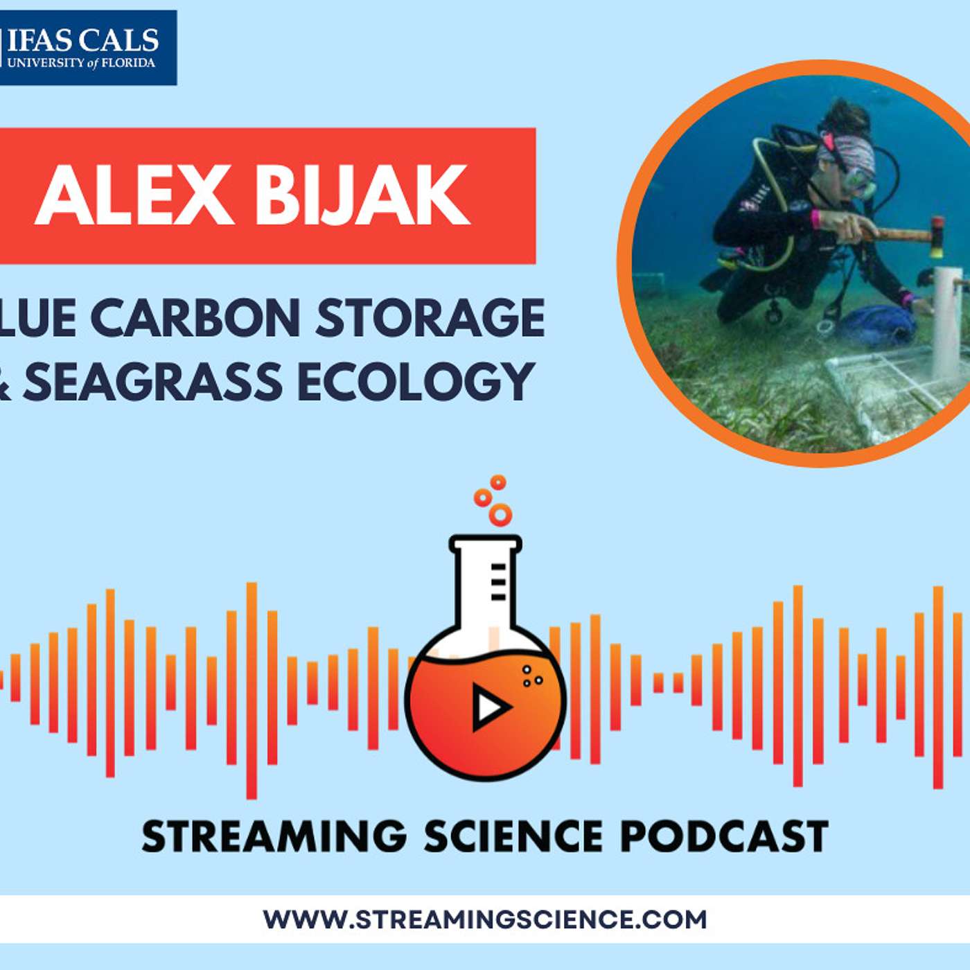 AI in Action: Alex Bijak episode artwork