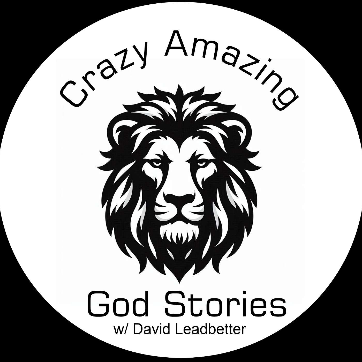 Crazy Amazing God Stories