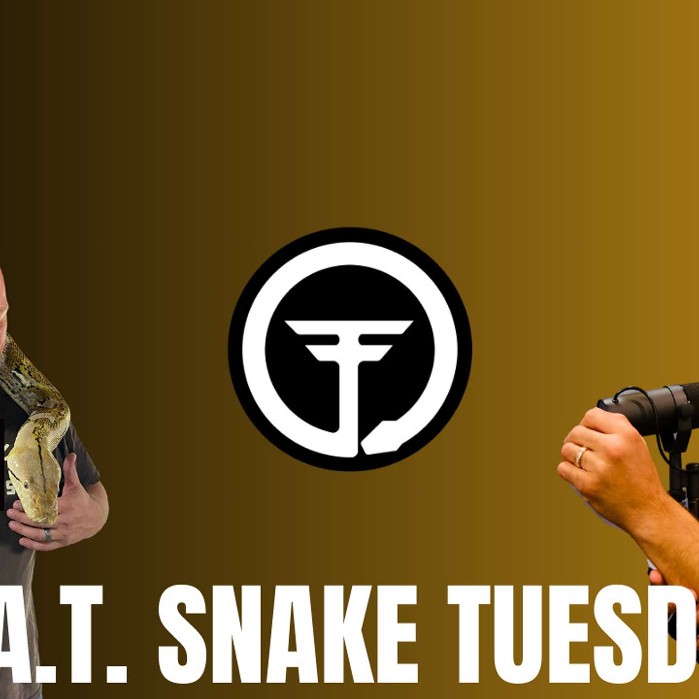 Rob Rausch on why he parted ways with Reach Out Reptiles