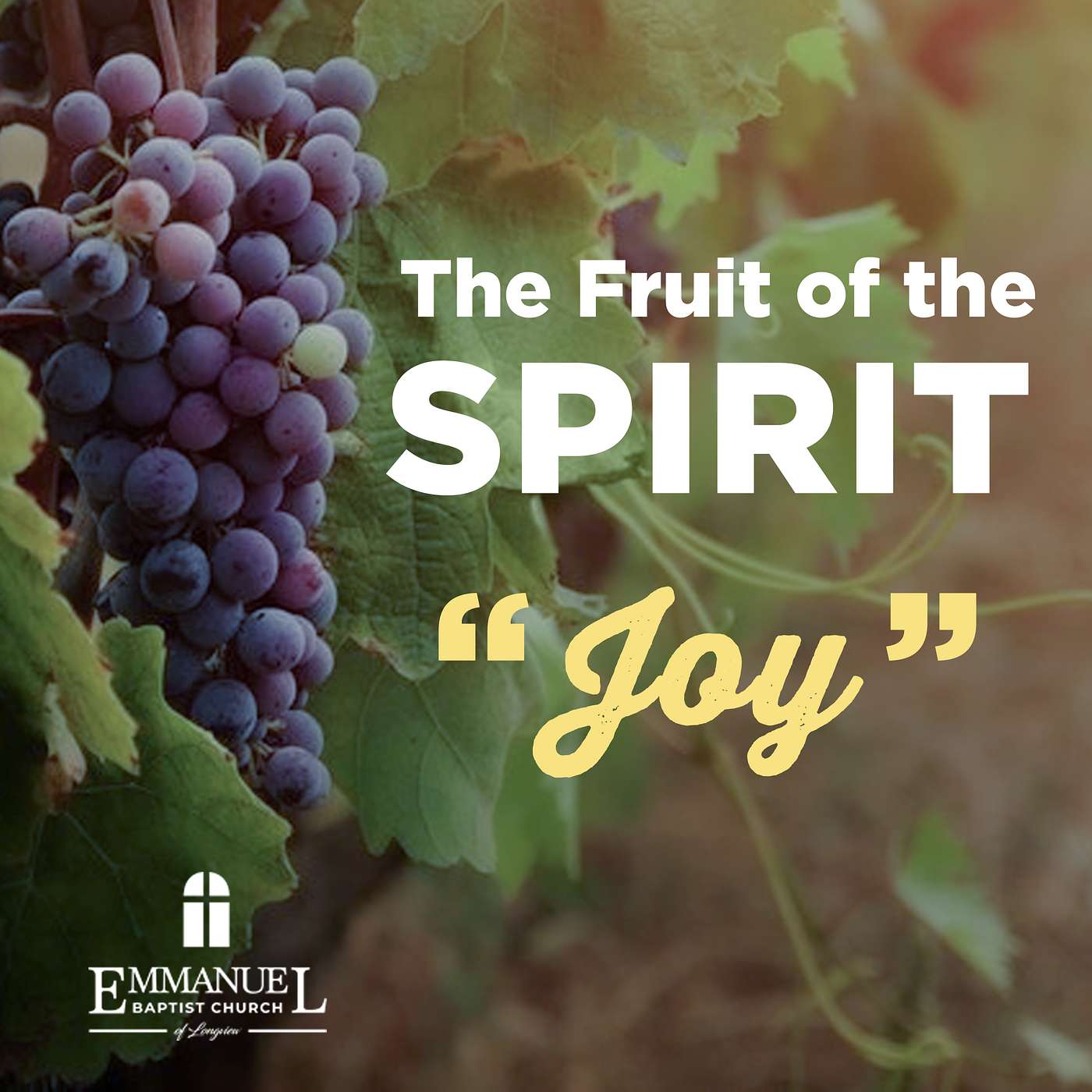The Fruit of the Spirit - Joy - Wednesday PM 12/29/2021 - Pastor Bob Gray II episode artwork