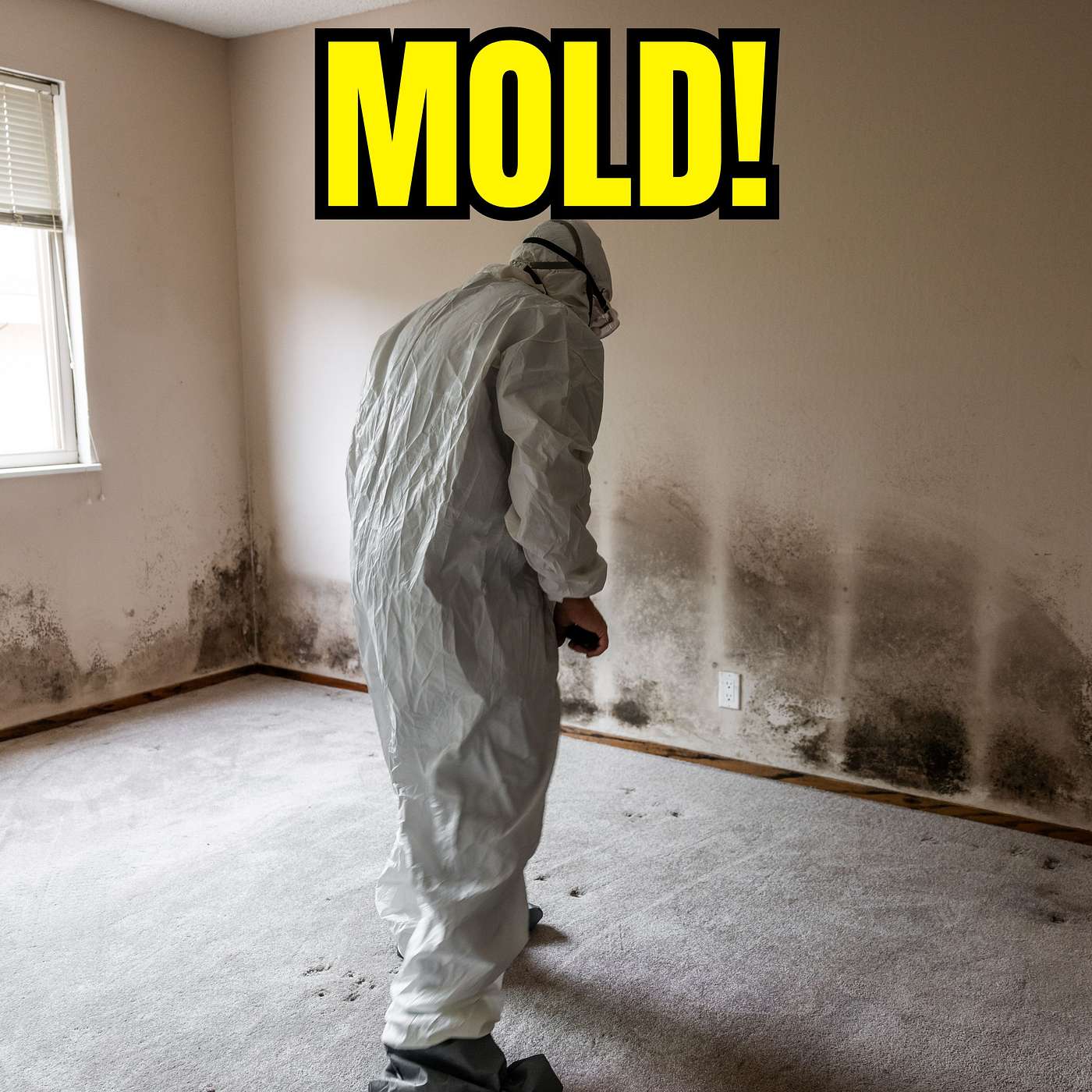 Mold Toxicity: How You Get It, and What To Do About It