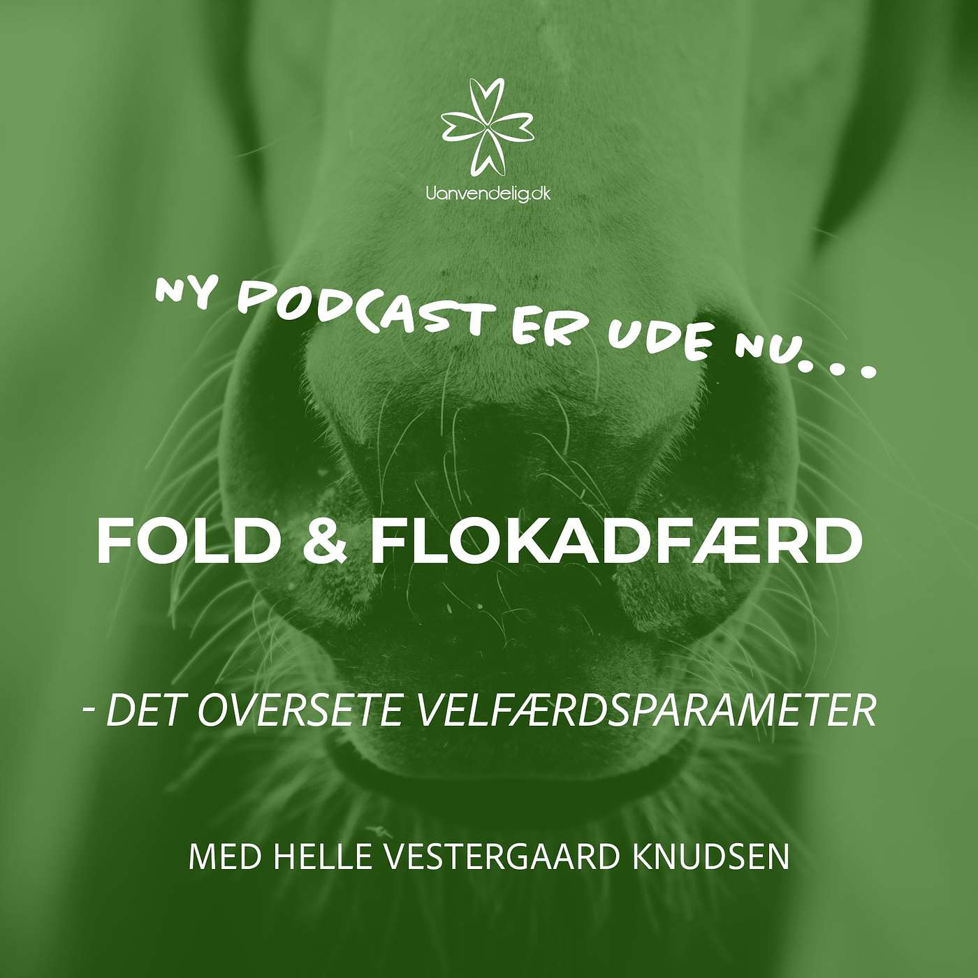 Uanvendelig eller Ridehest