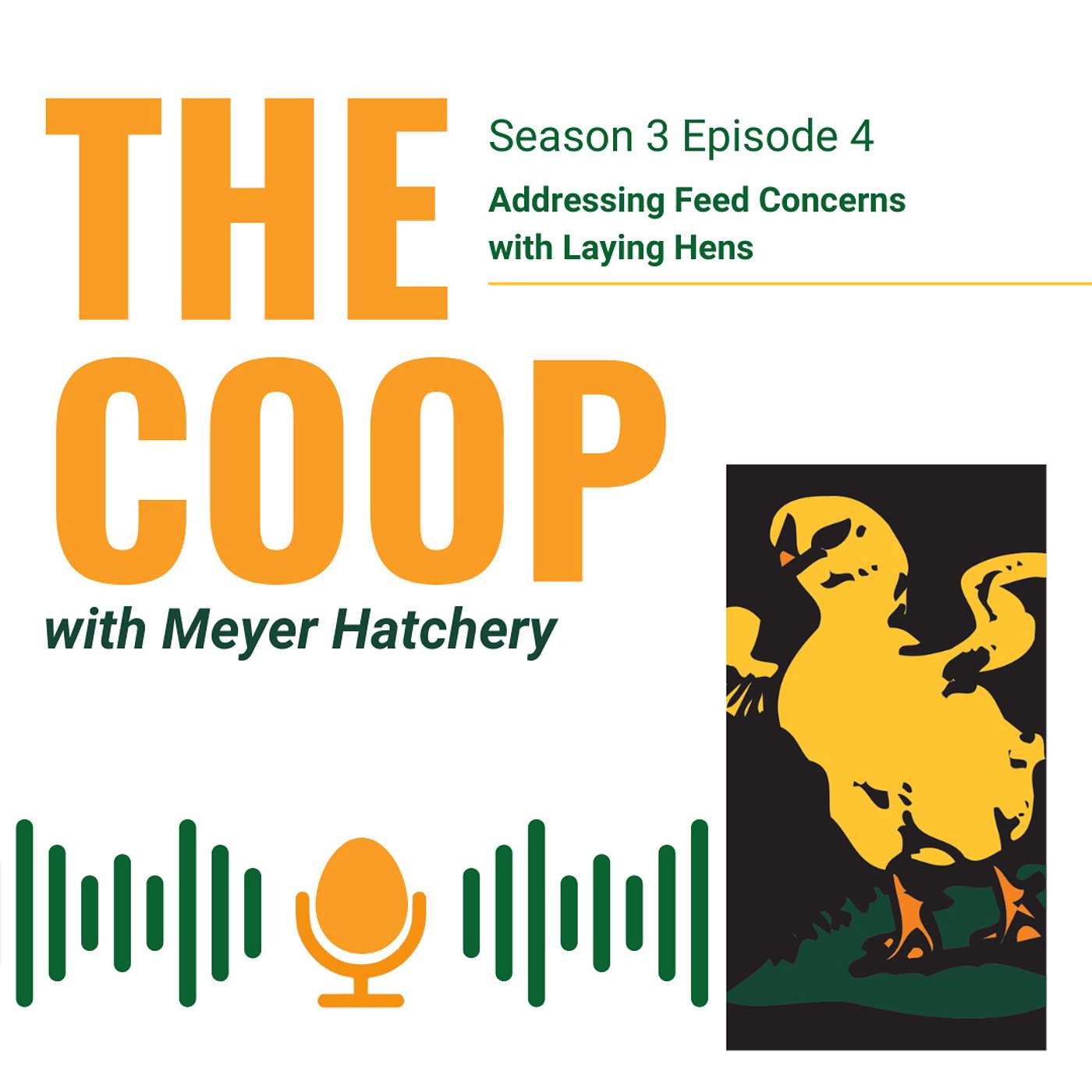 Feed Concerns With Laying Hens
