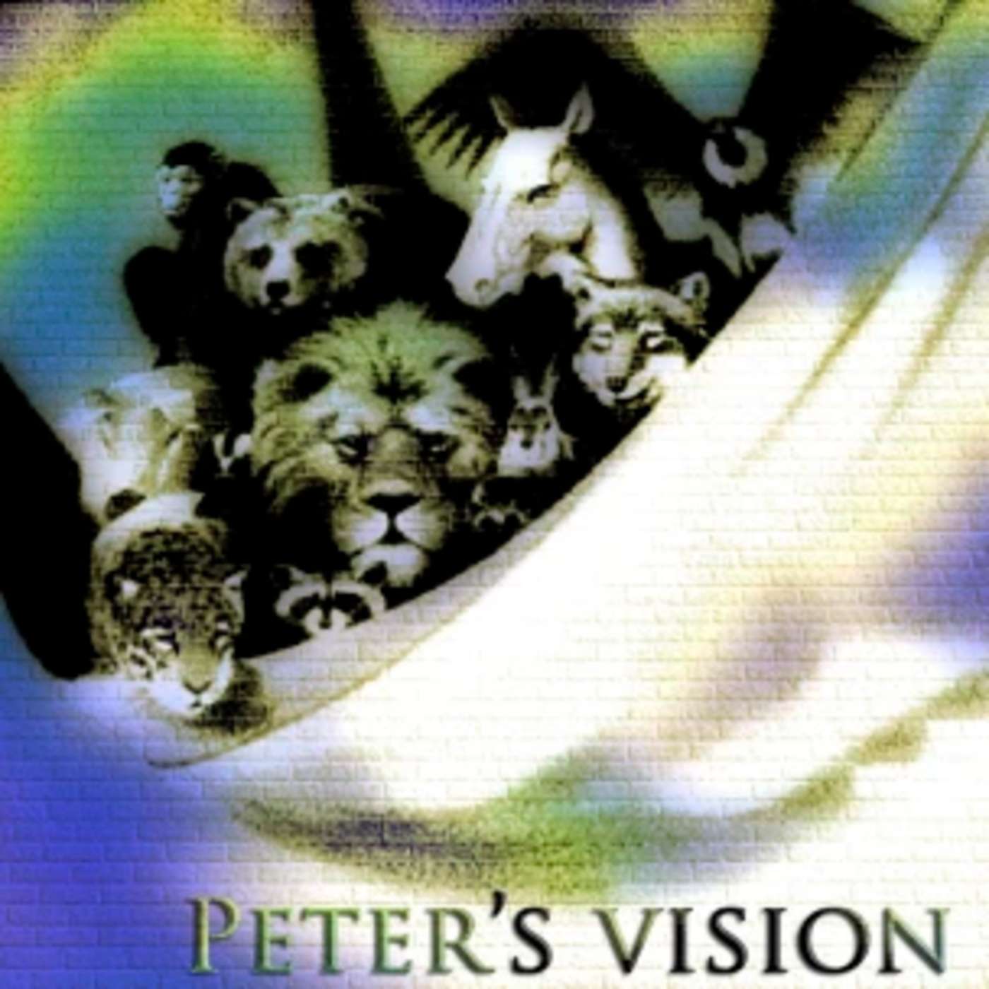 Peter's Vision