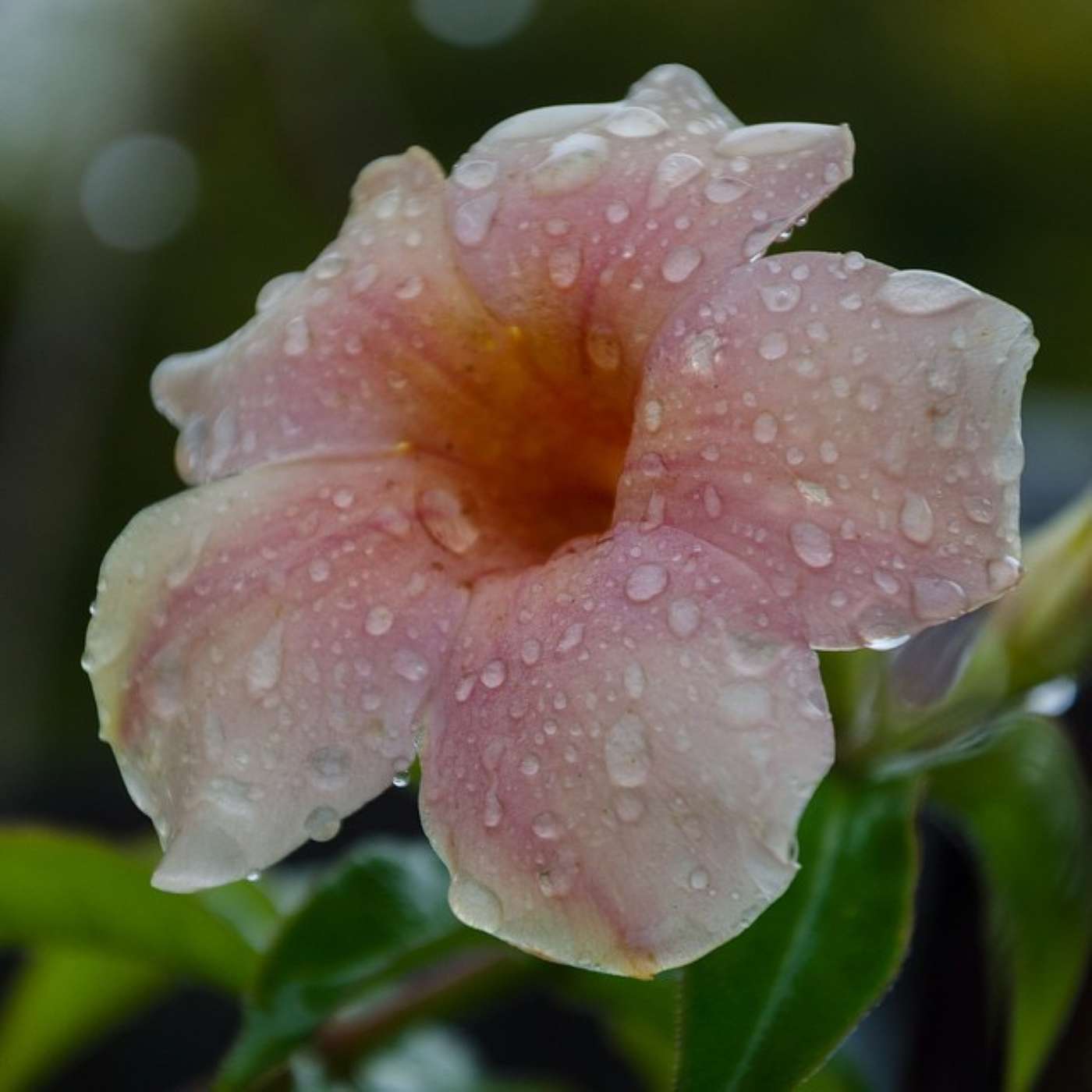 Past Life Regression: Money is evil and tainted