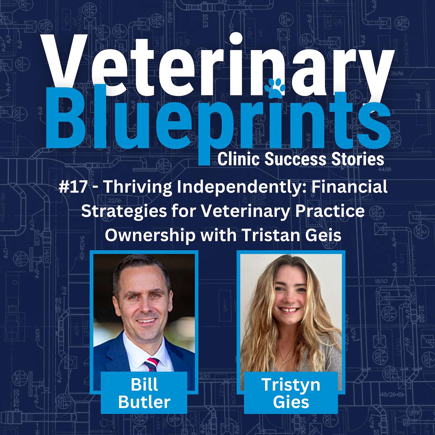 Veterinary Blueprints