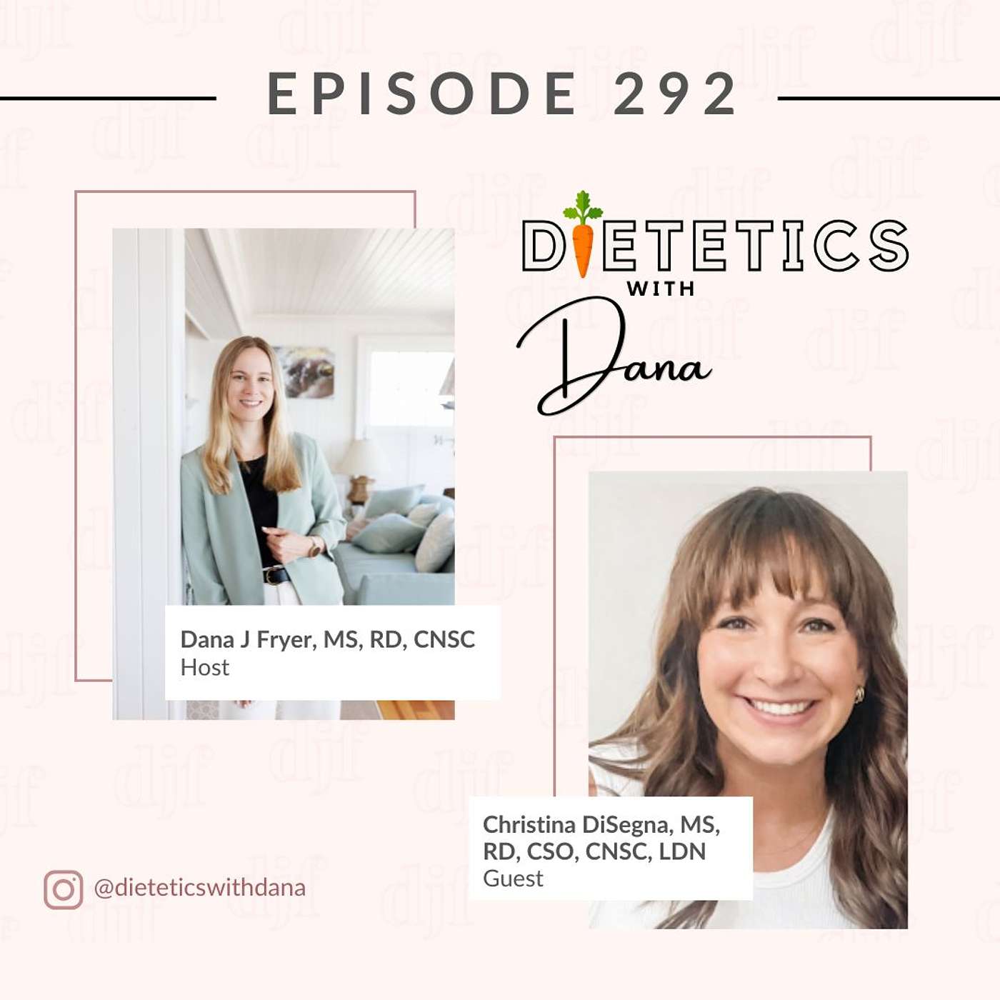 292. Interview with  Christina DiSegna, MS, RD, CSO, CNSC (Oncology & Private Practice Dietitian) episode artwork