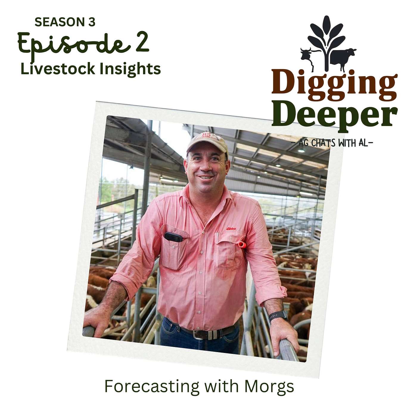 Livestock Insights: Forecasting With Morgs episode artwork