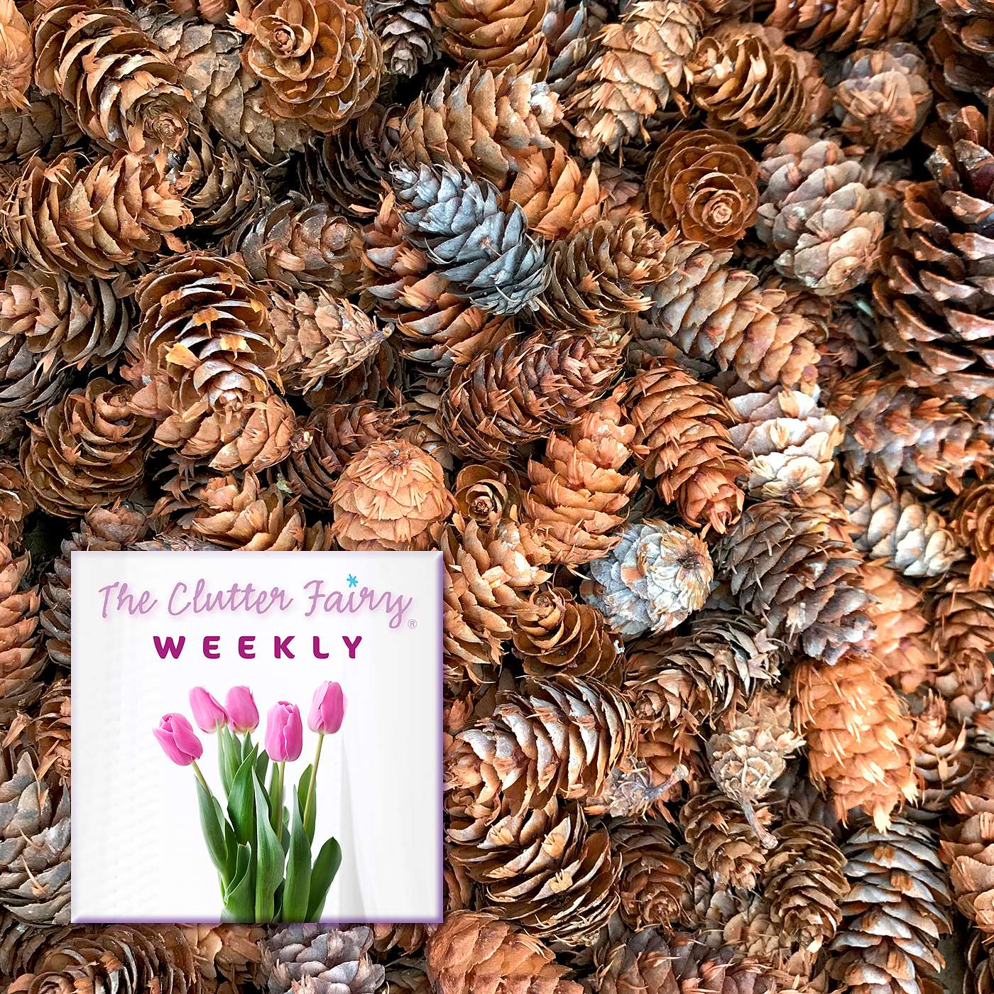 A Houseful of Limitless Potential: Clutter and the Creative Mind - The Clutter Fairy Weekly #270