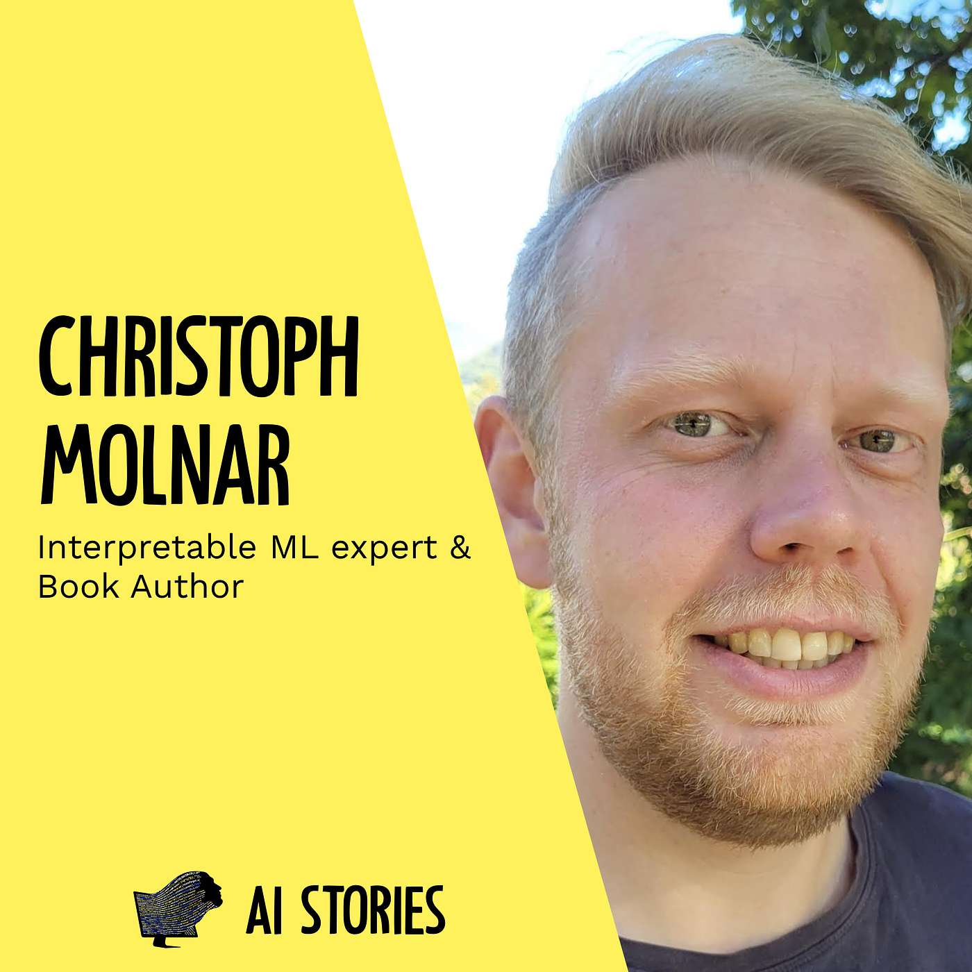 AI Stories
