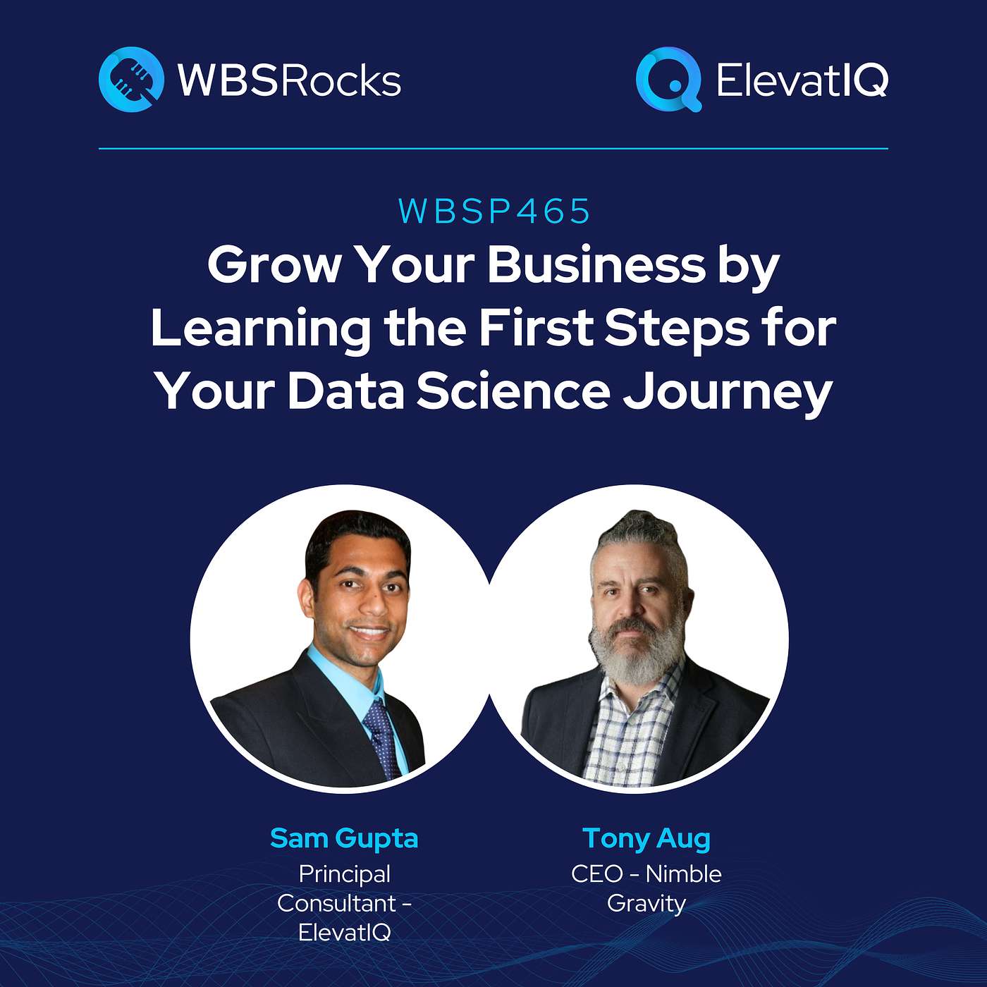 WBSP465: Grow Your Business by Learning the First Steps for Your Data Science Journey w/ Tony Aug