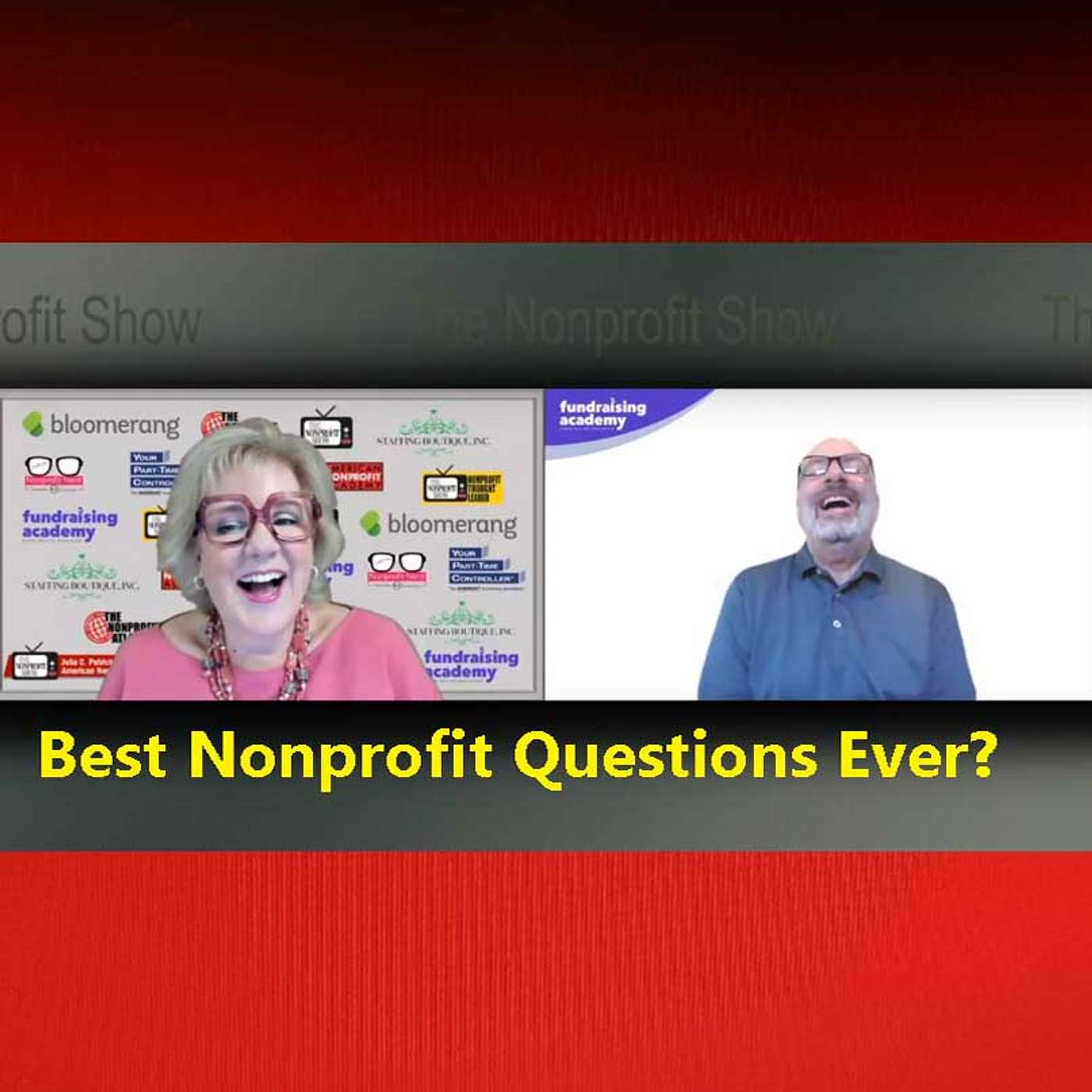The Nonprofit Show