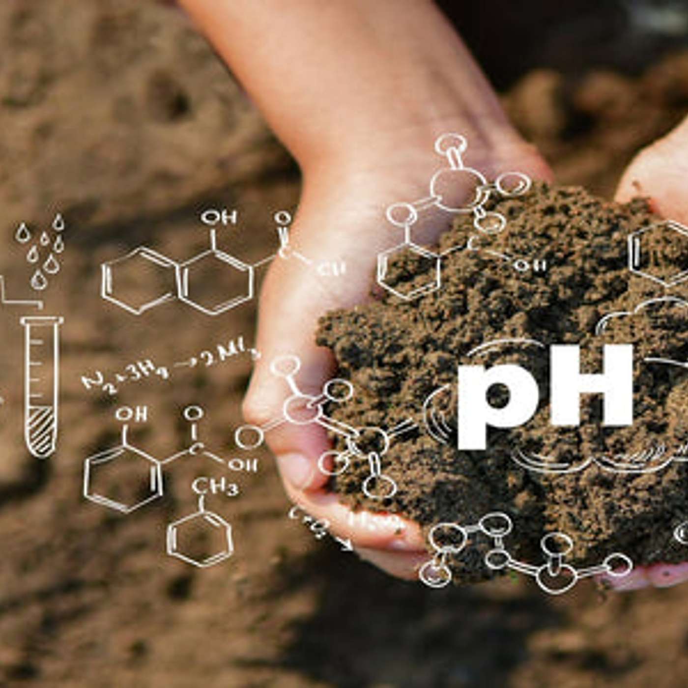 How to Change Soil pH in Raised Garden Beds?