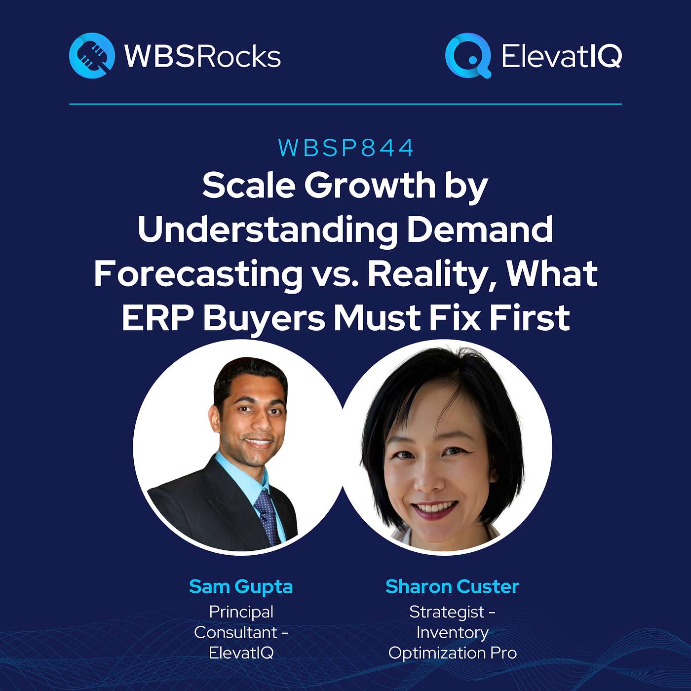 WBSP844: Scale Growth by Understanding Demand Forecasting vs. Reality, What ERP Buyers Must Fix First, an Objective Panel Review