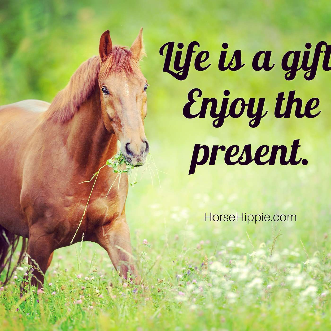 Enjoy the Present