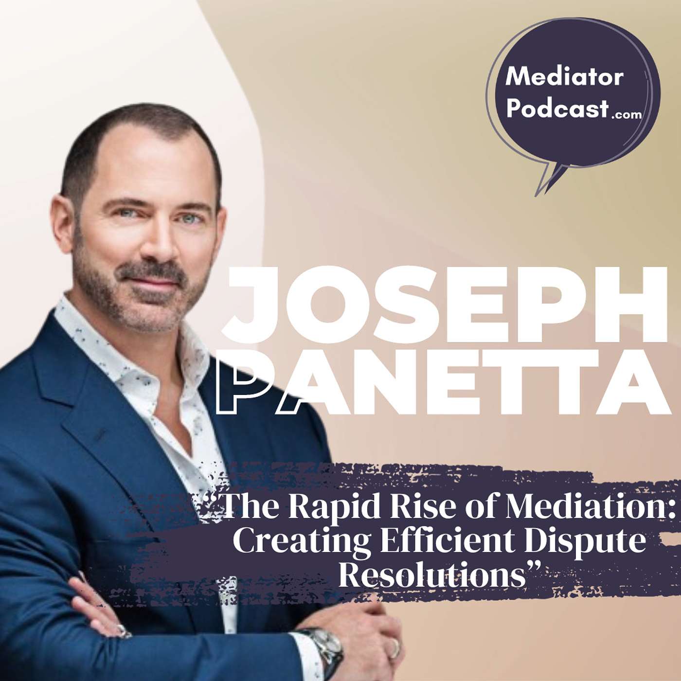 The Rapid Rise of Mediation: Creating Efficient Dispute Resolutions