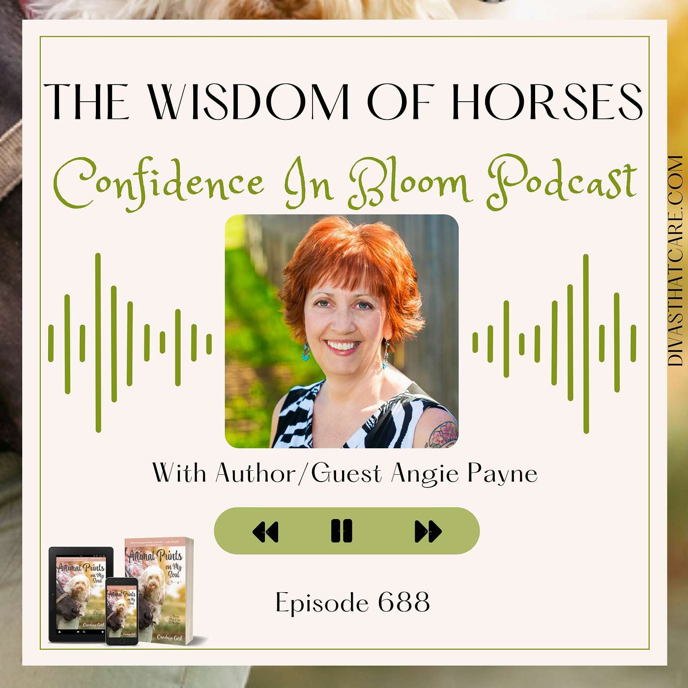 Special Episode: The Wisdom Of Horses episode artwork
