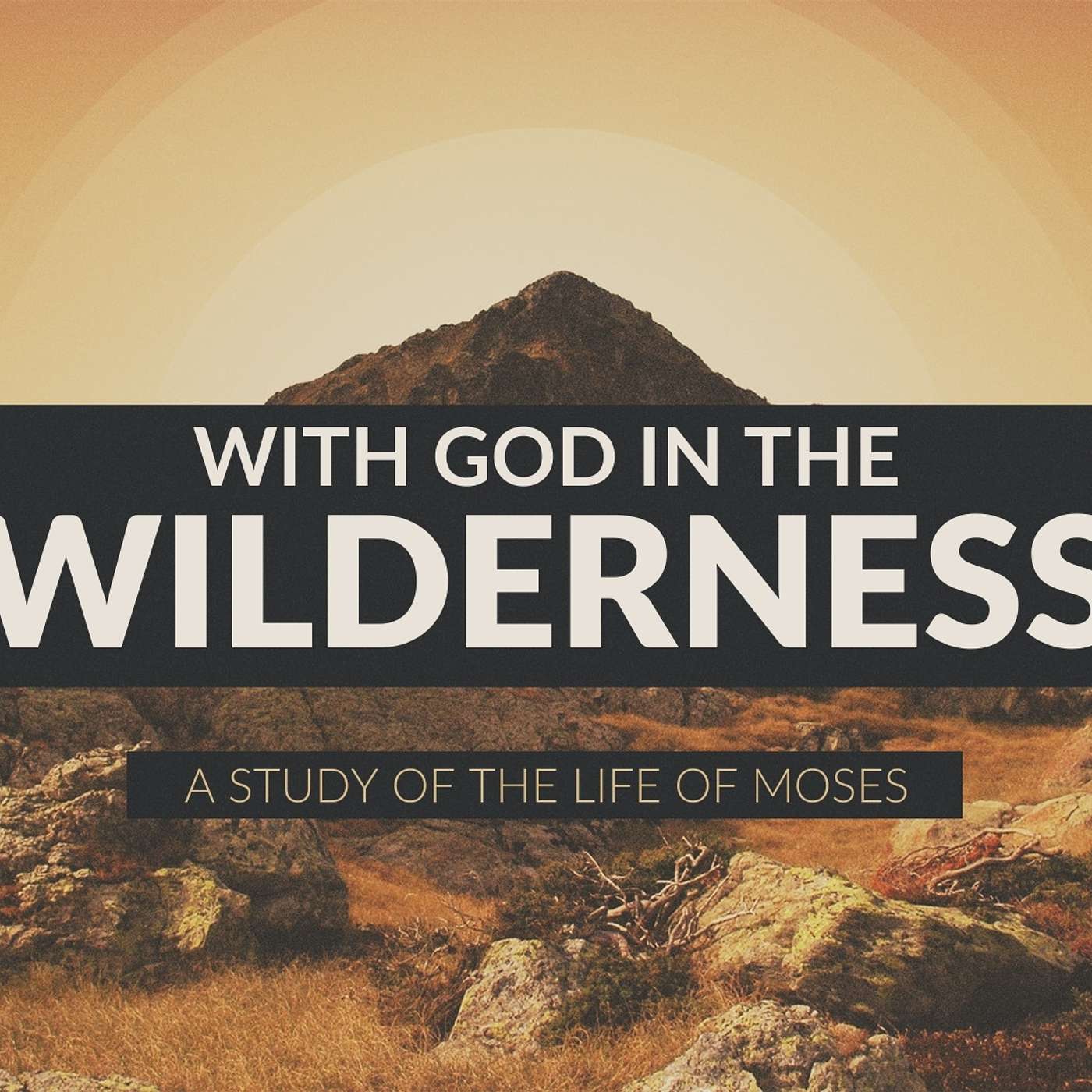 With God In The Wilderness: Moses in the Desert (Exodus 2:21-3:9) episode artwork