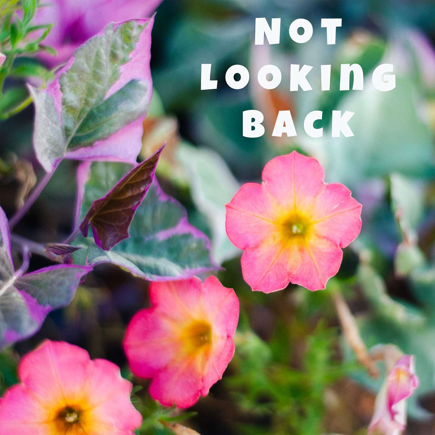 Not Looking Back