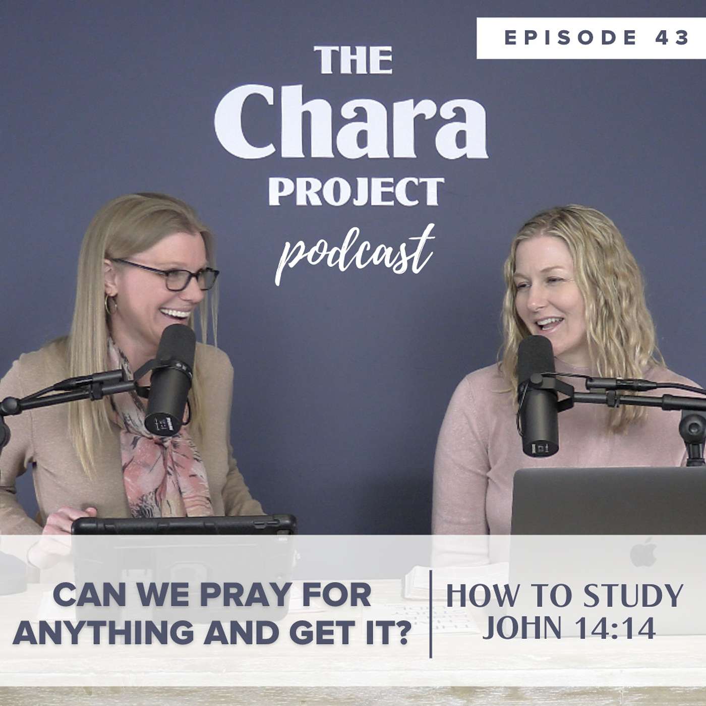 The Chara Project Podcast