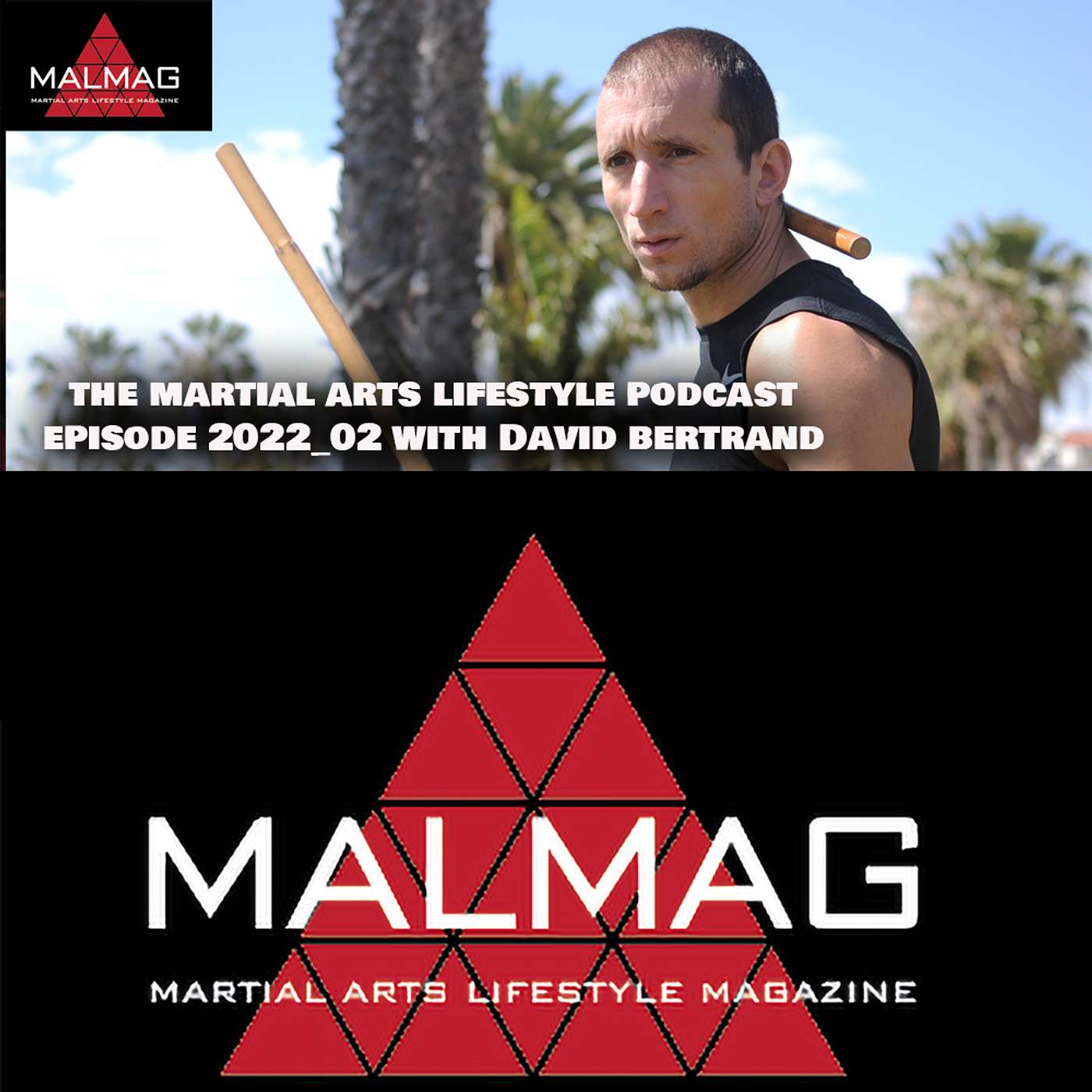 The Martial Arts Lifestyle Podcast